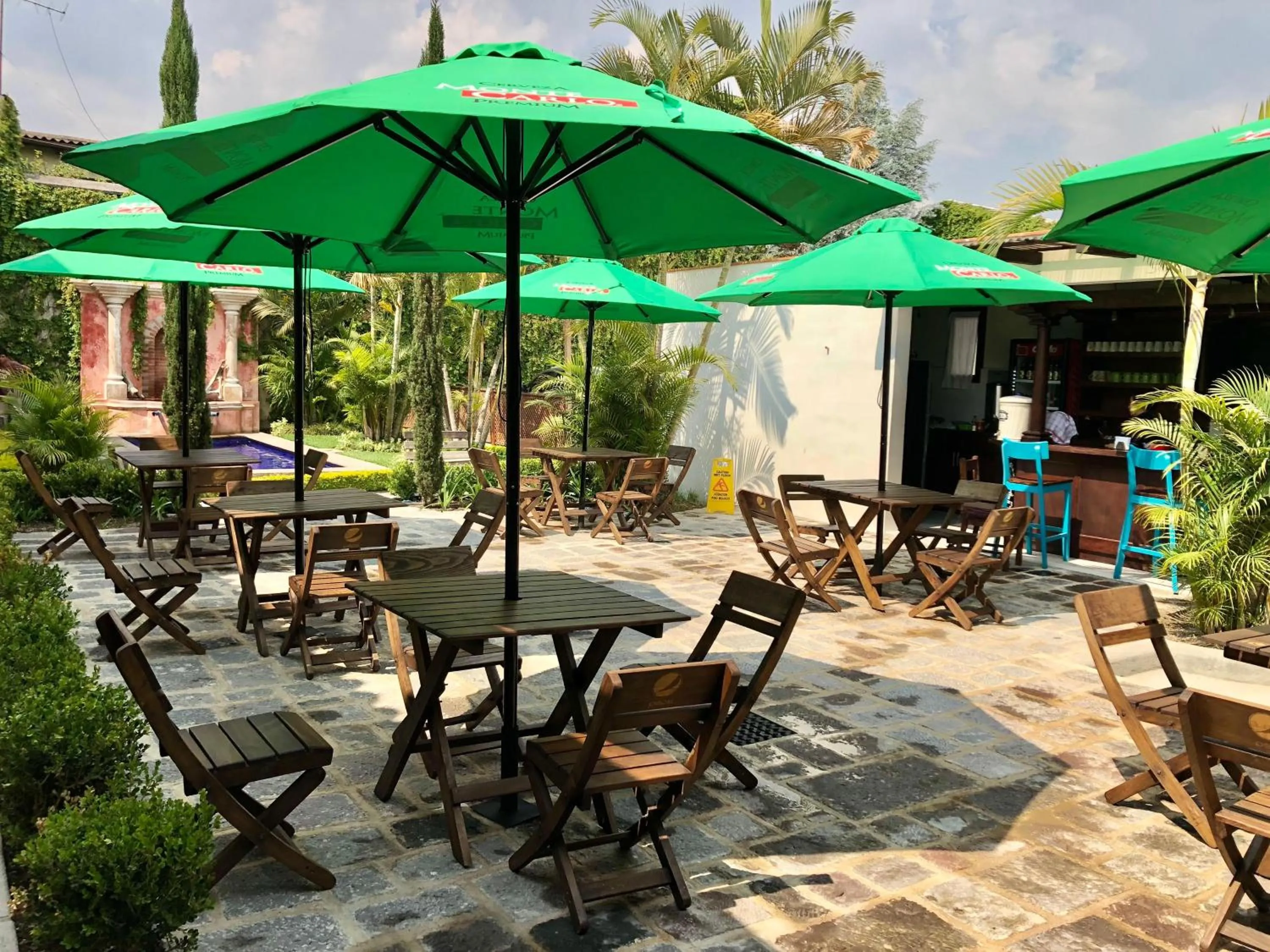 Garden view in Casa Mia Hotel