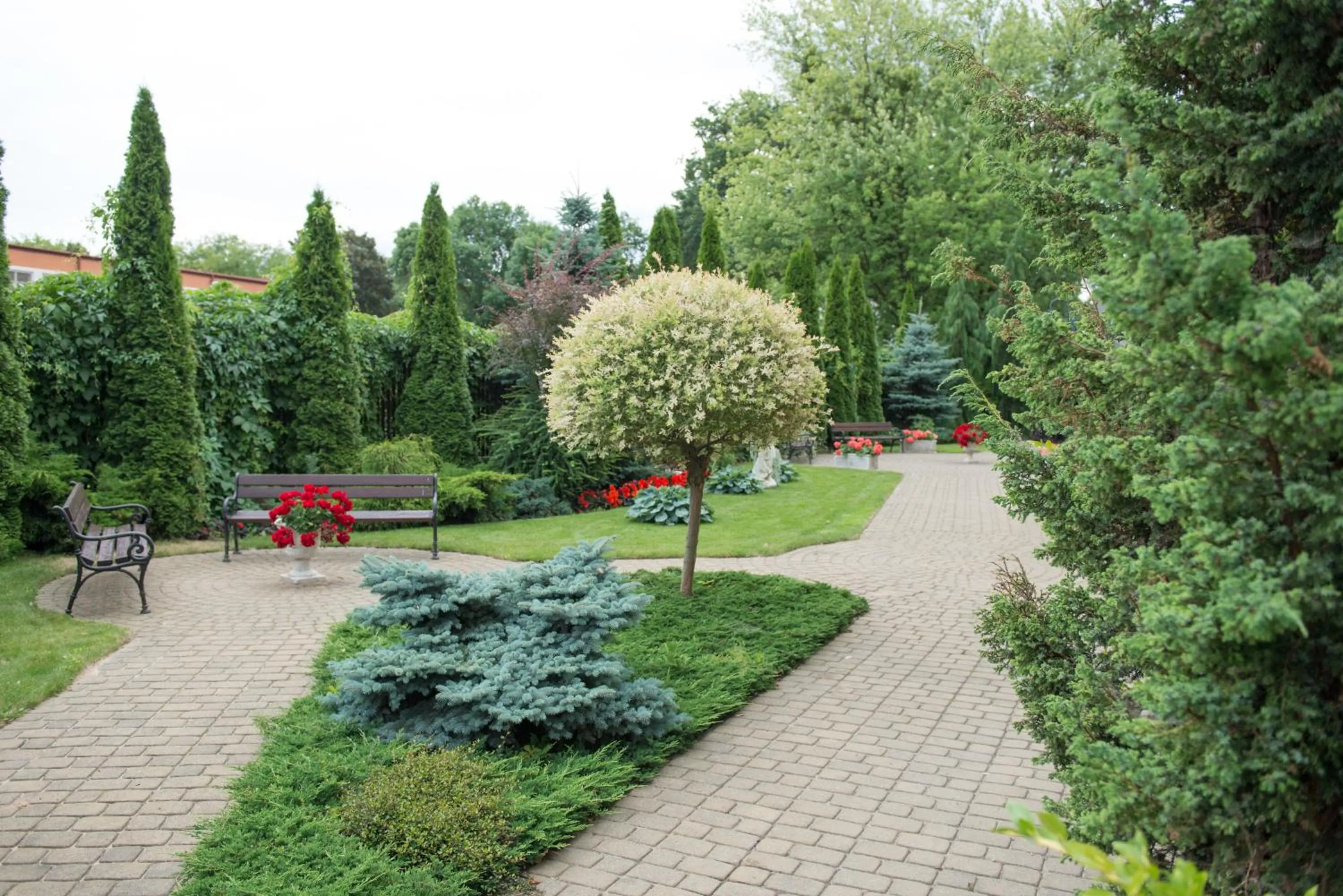 Garden in Hotel Chopin Business&SPA