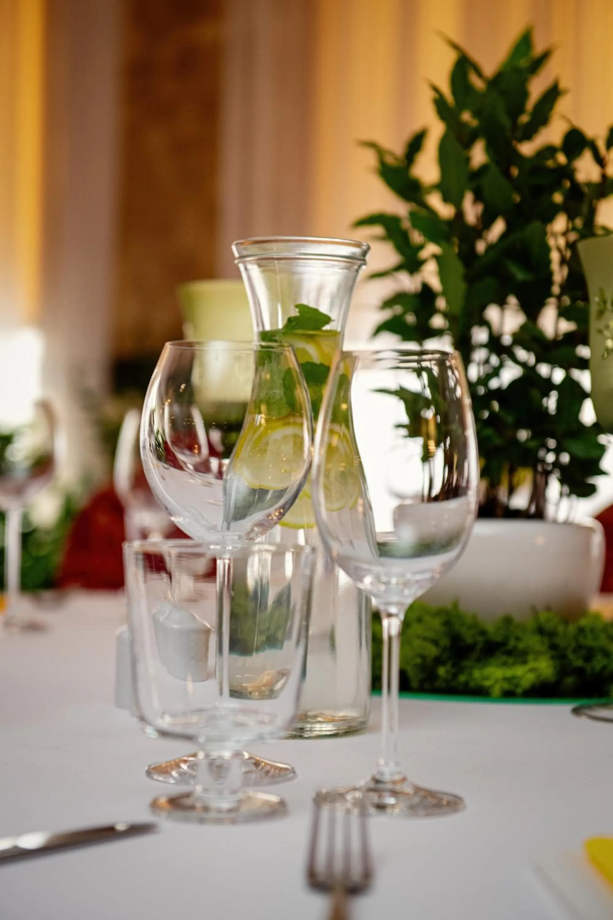 Hotel Chopin Business&SPA