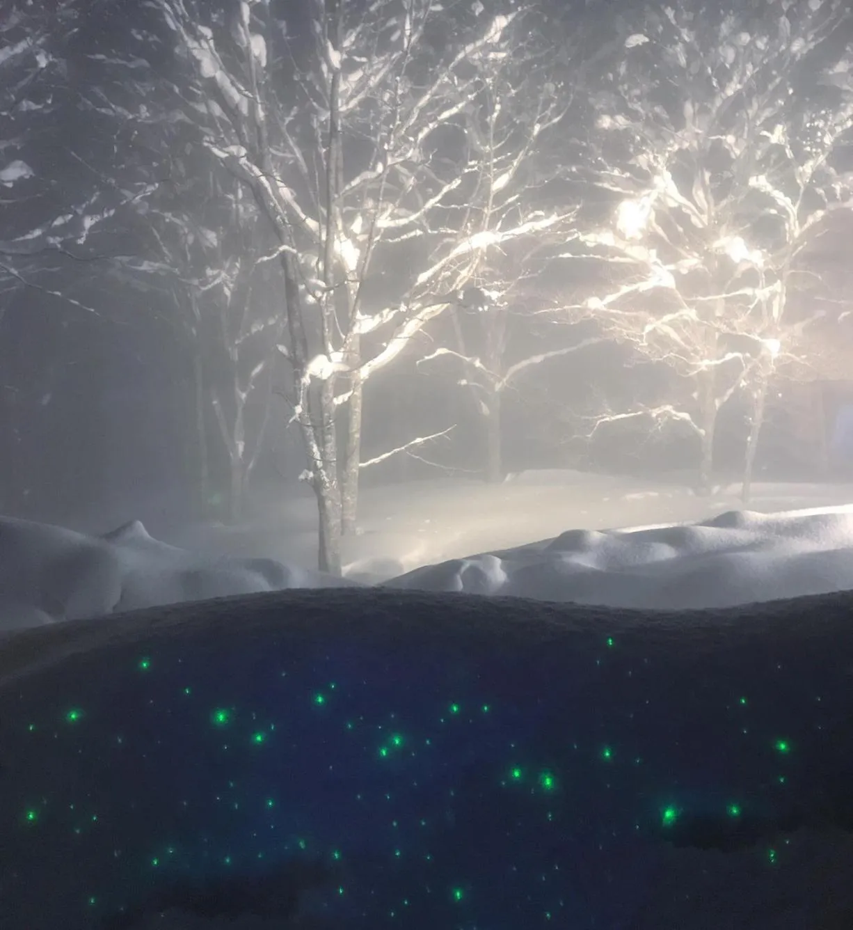 Night in Tsubame Highland Lodge燕ハイランドロッジ