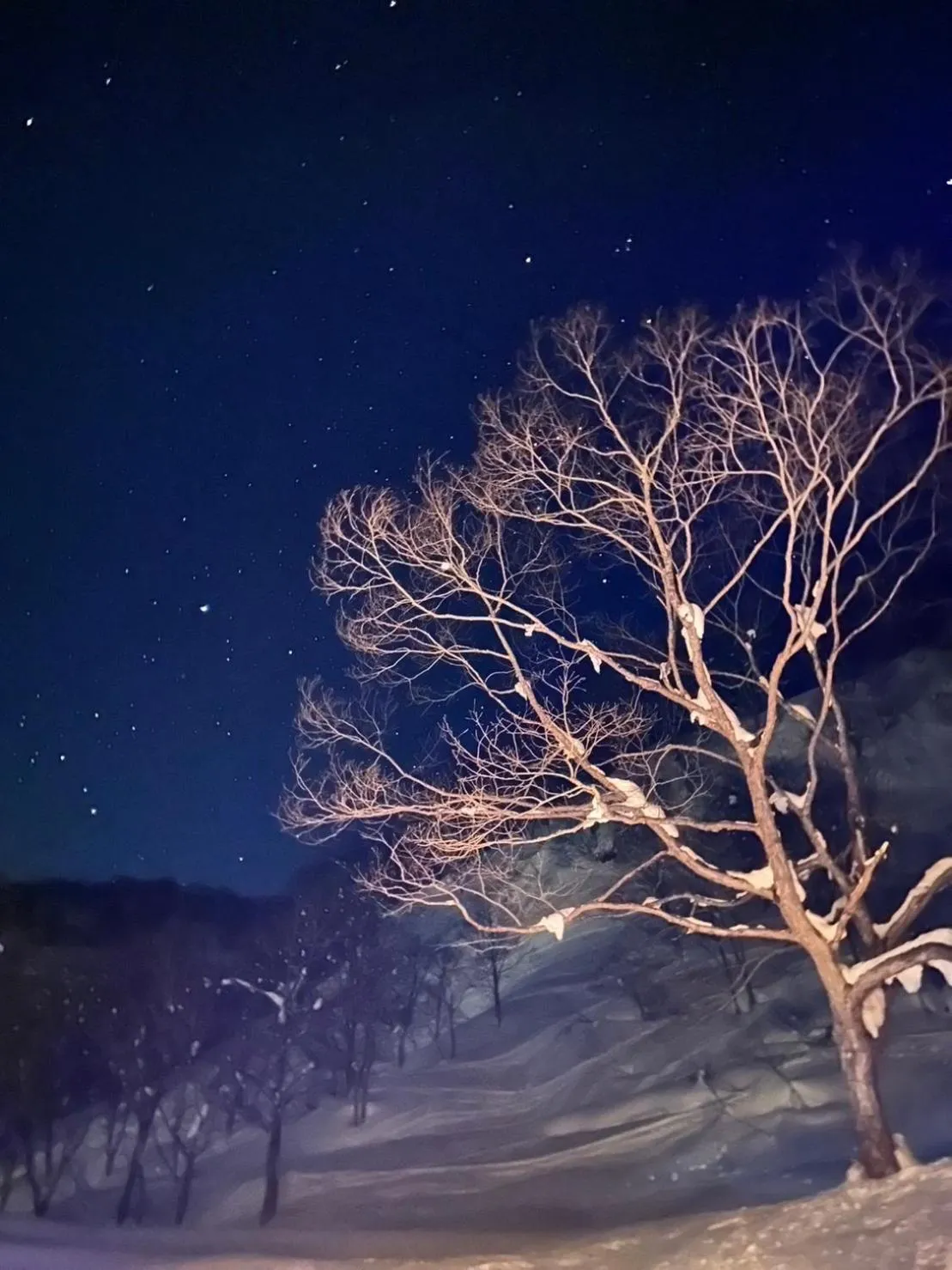 Night in Tsubame Highland Lodge燕ハイランドロッジ