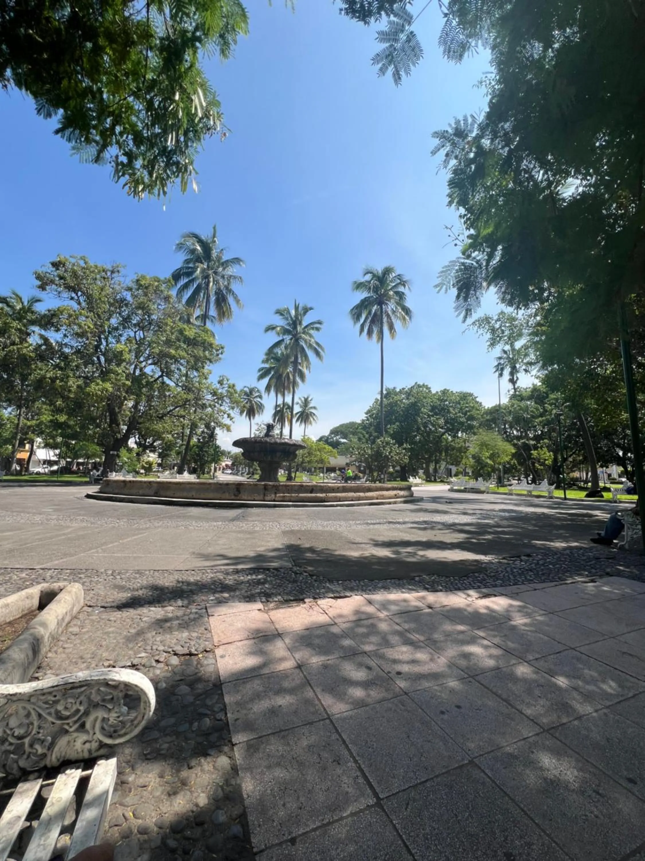 View (from property/room) in Hotel Juarez 70