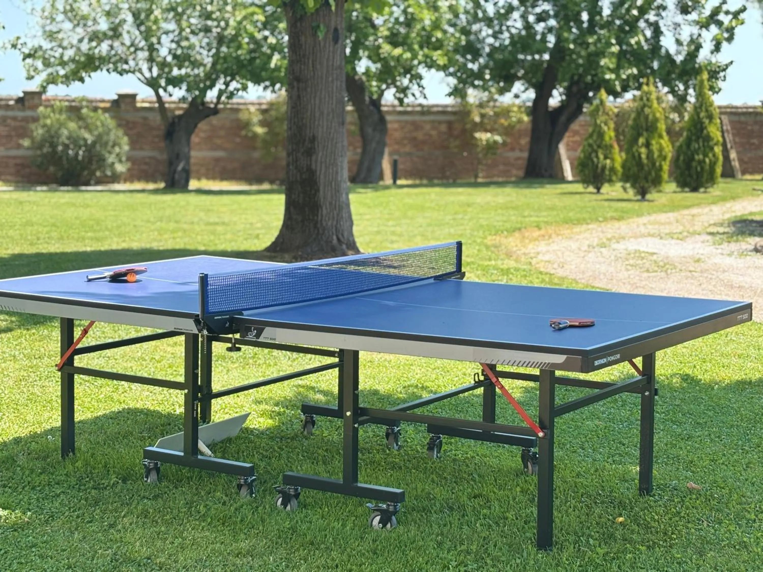 Table tennis in San Clemente Palace Venice