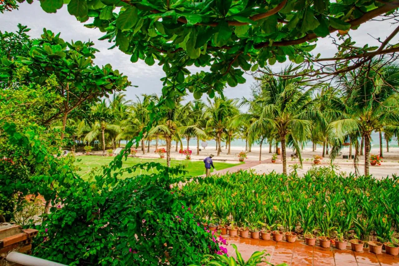 Garden in Thiên Tân Hotel