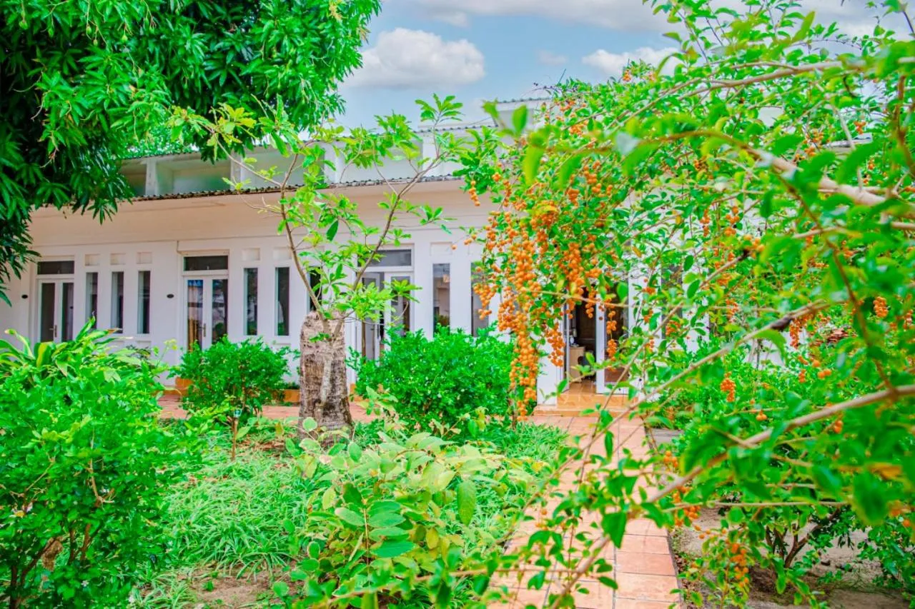 Garden in Thiên Tân Hotel