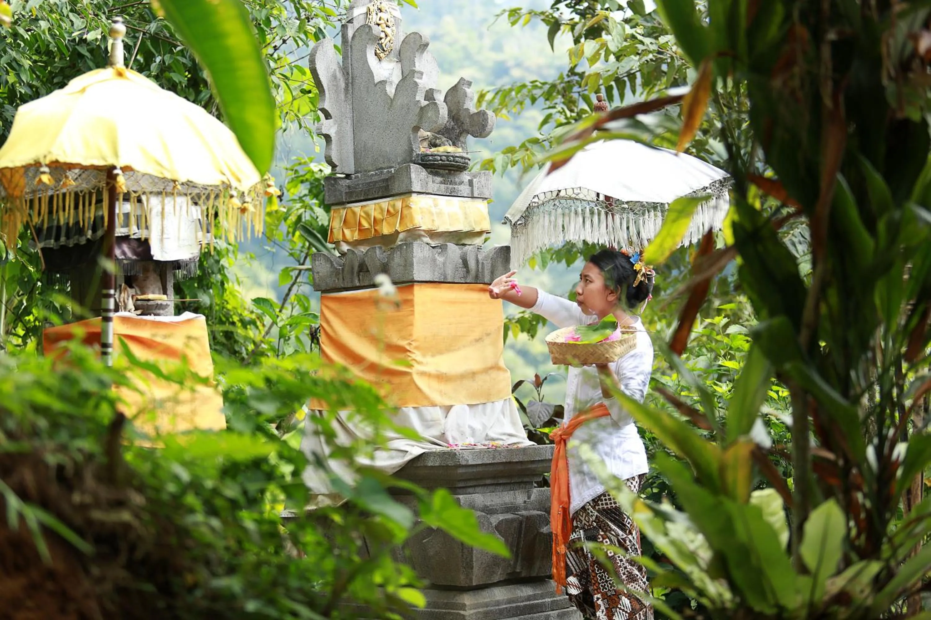 Day in Sang Giri Mountain Tent Resort