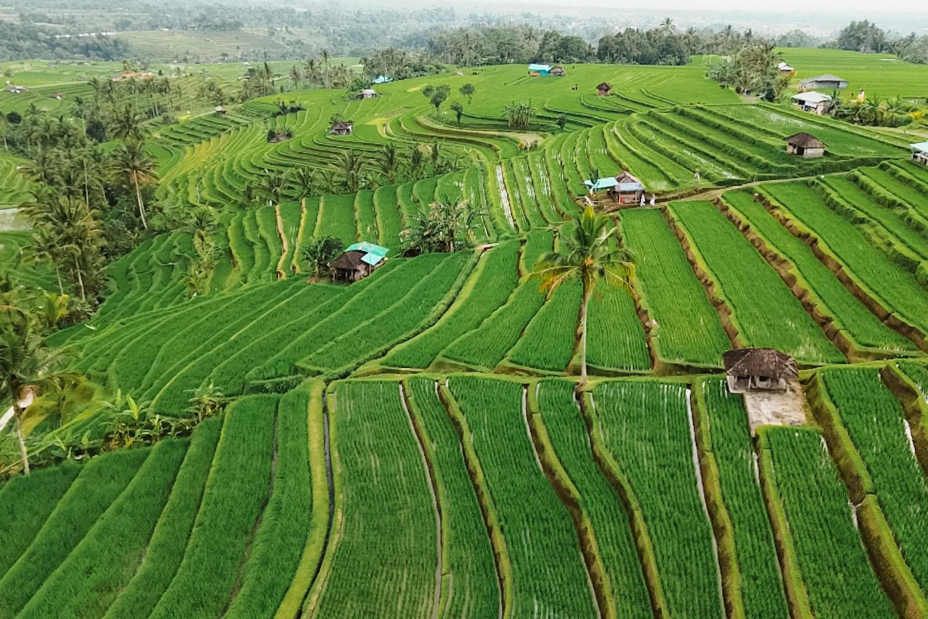 Natural landscape in Sang Giri Mountain Tent Resort