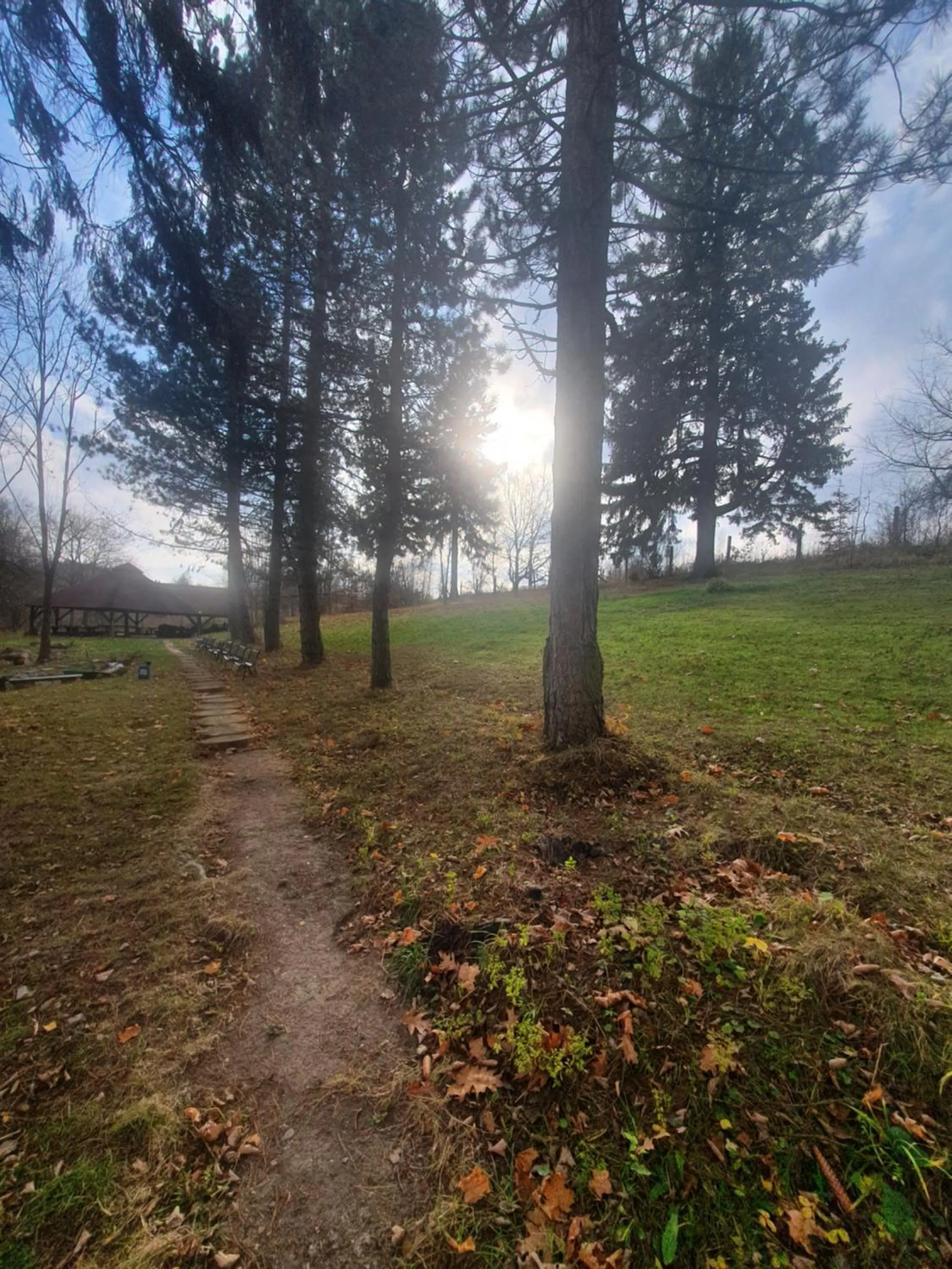 Garden view in Willa Alfa