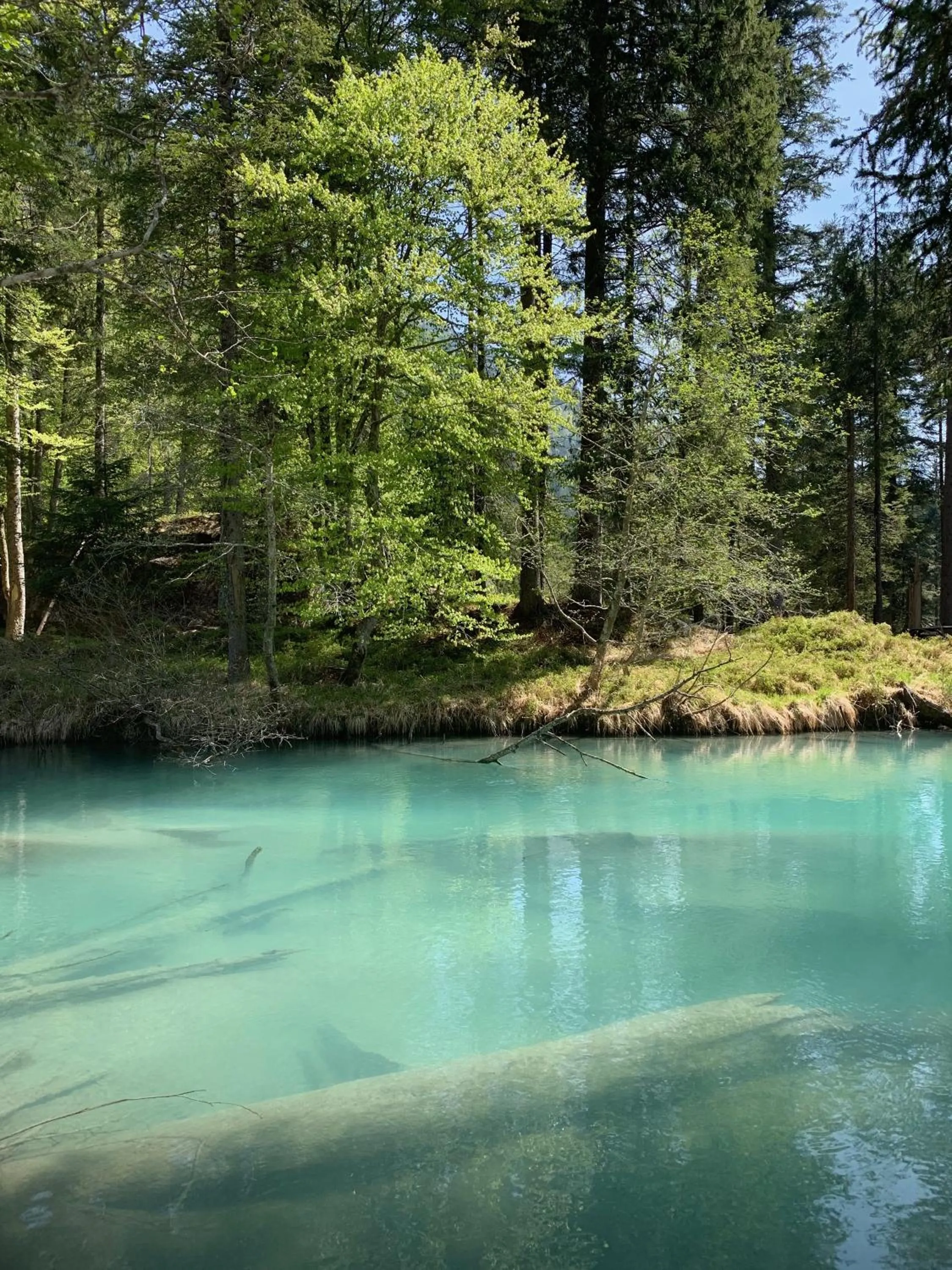 Natural landscape in Hotel Pinzolo-Dolomiti