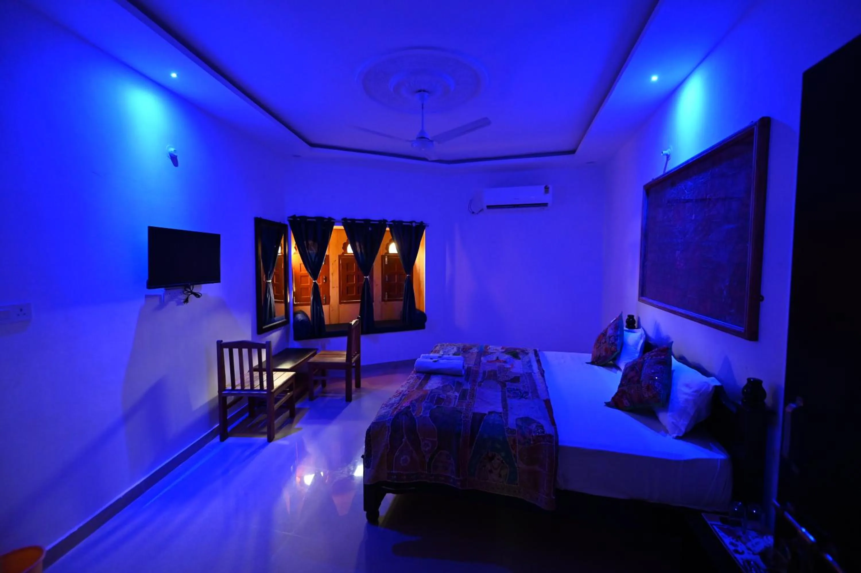 TV and multimedia in kings villa Jaisalmer