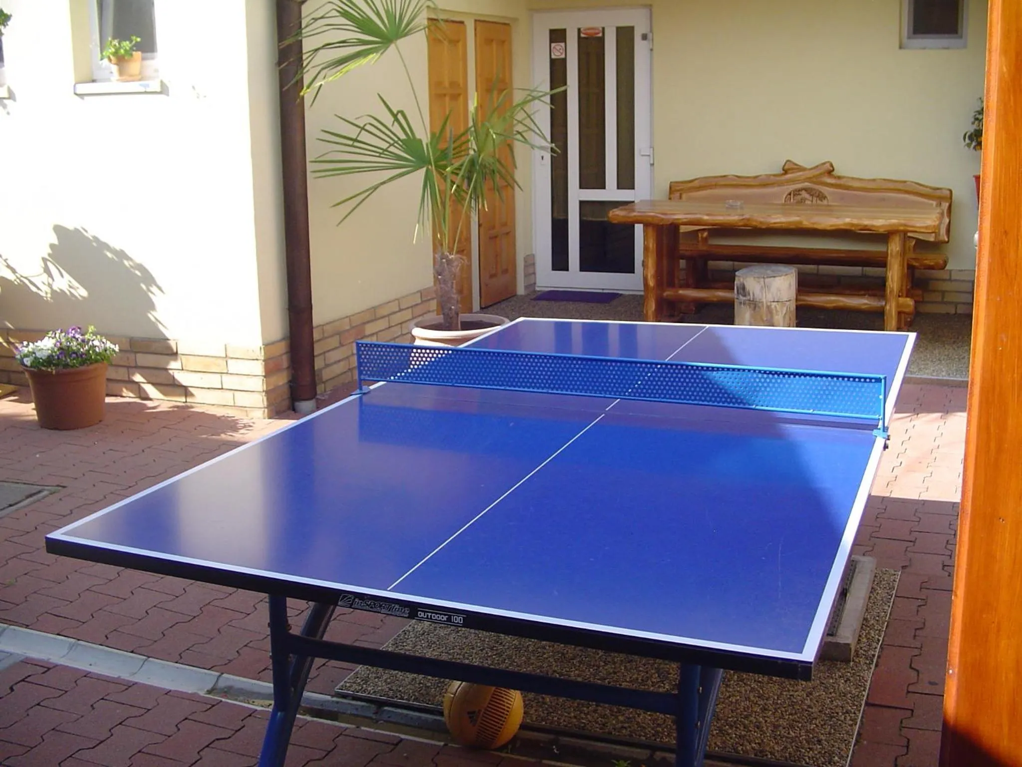 Table tennis in Everlast