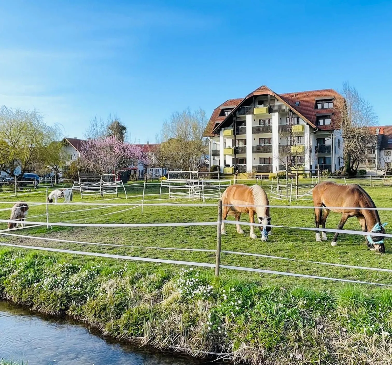 Property building in Gasthaus Hirschenstube & Gästehaus Gehri
