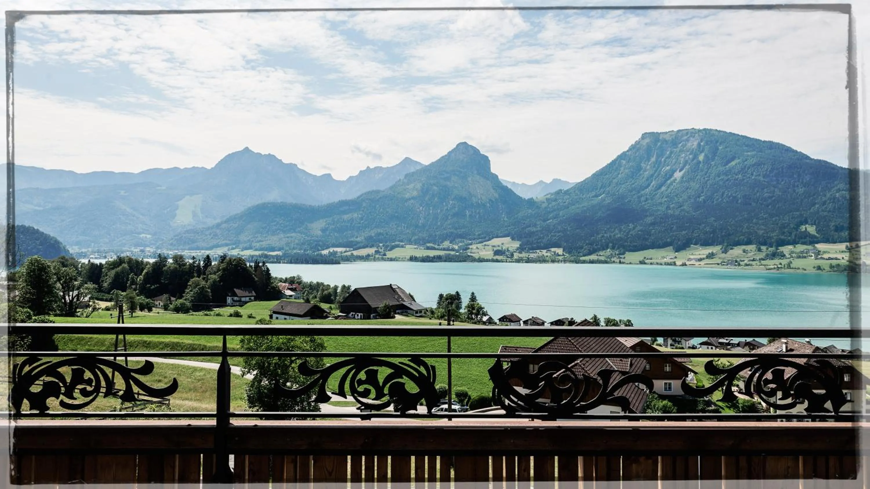 The View