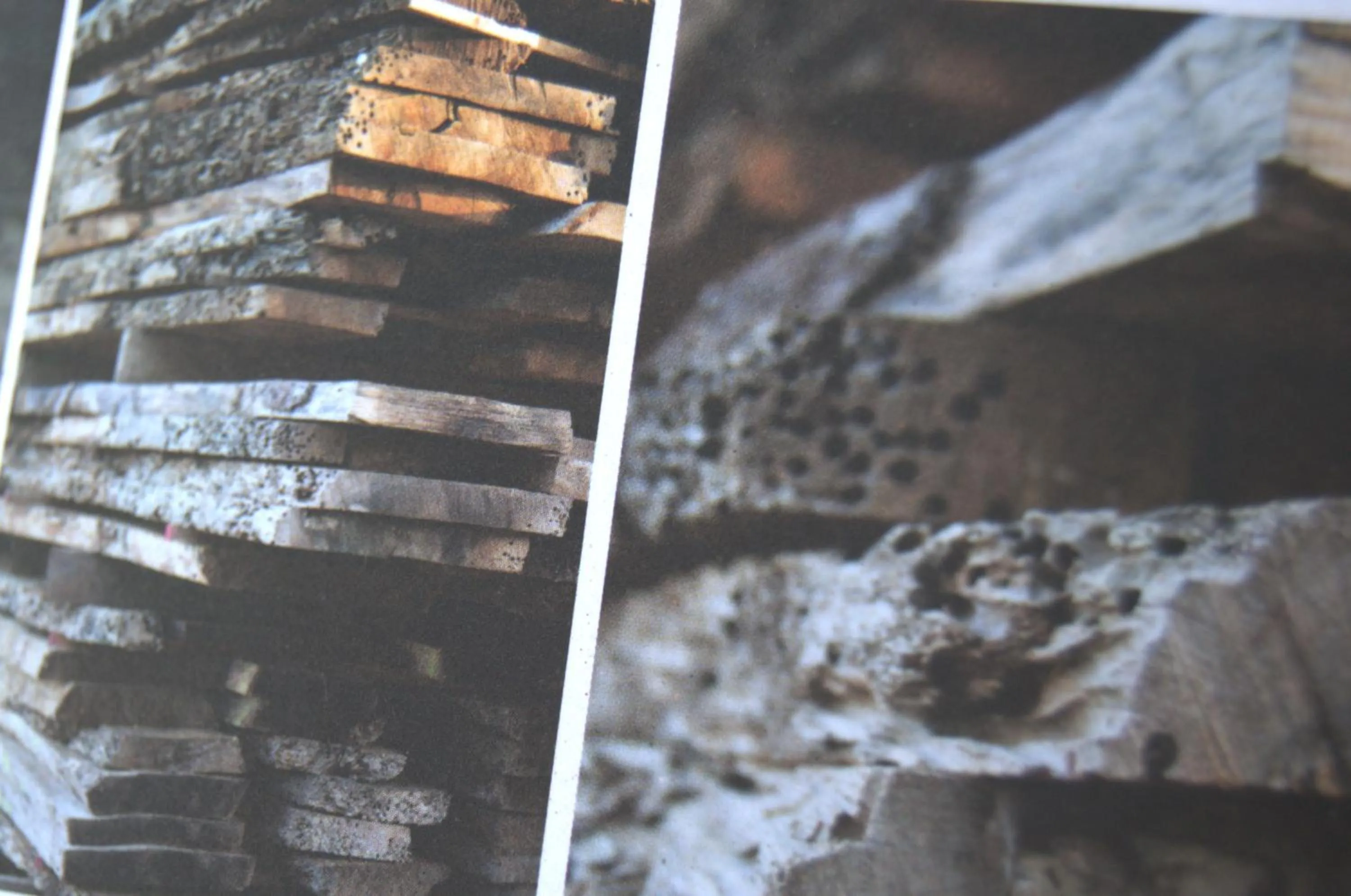 Other in Guesthouse Grand View