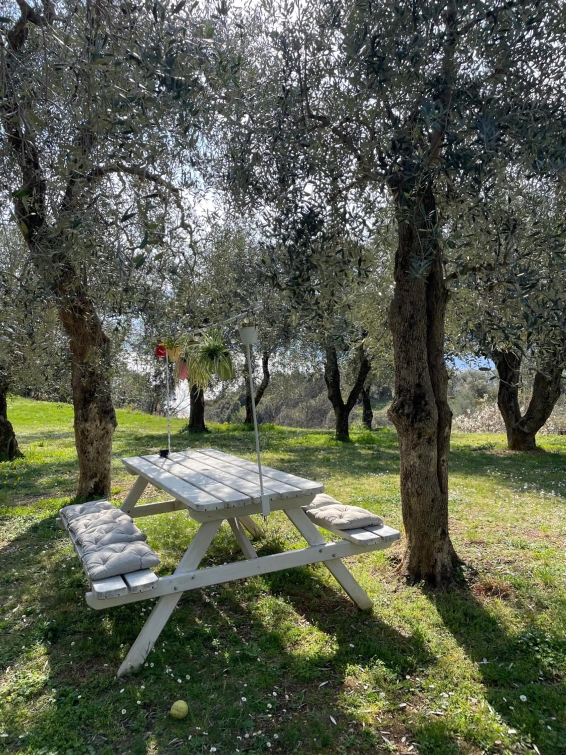 Guesthouse Grand View