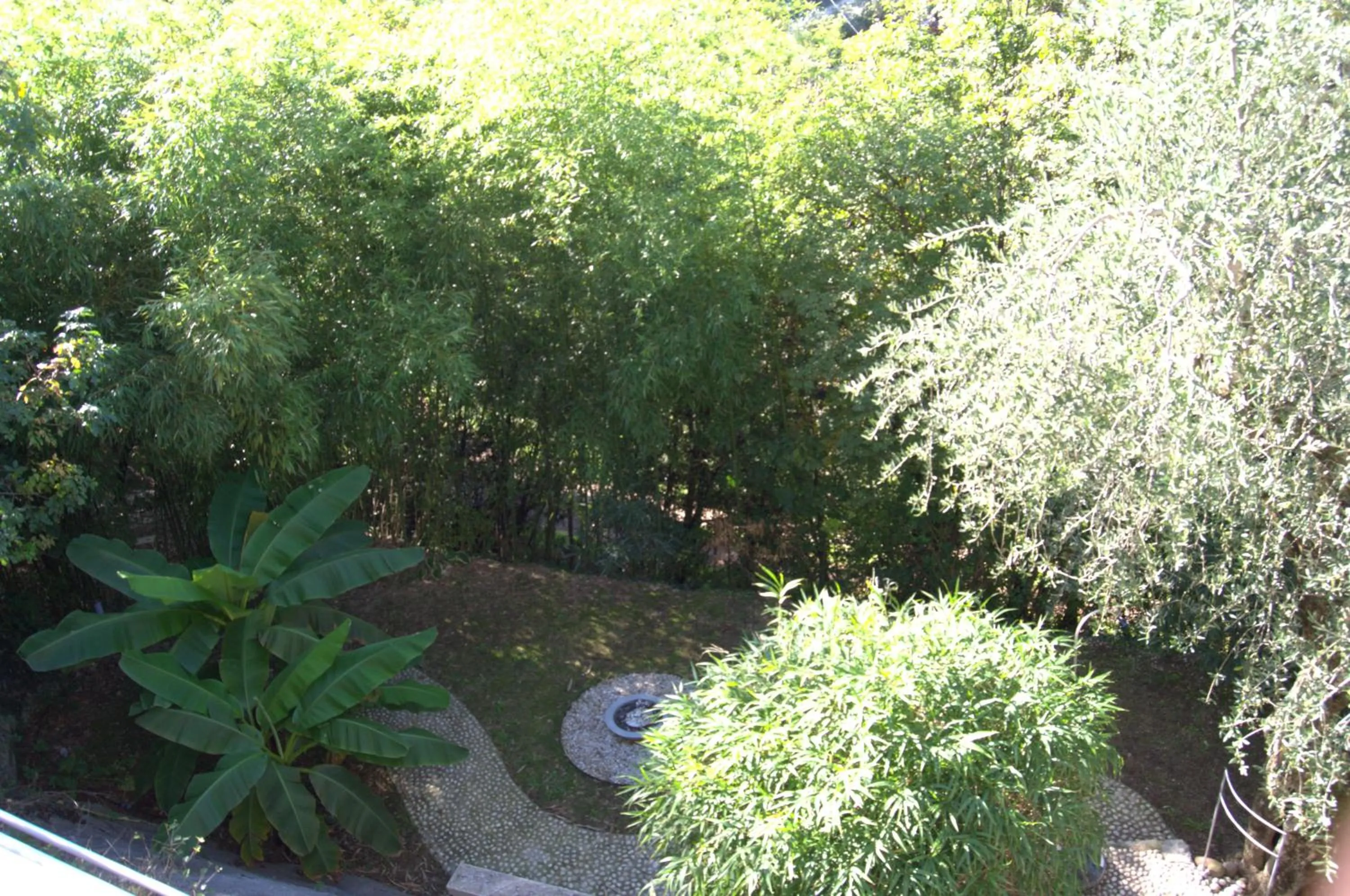 Garden in Guesthouse Grand View