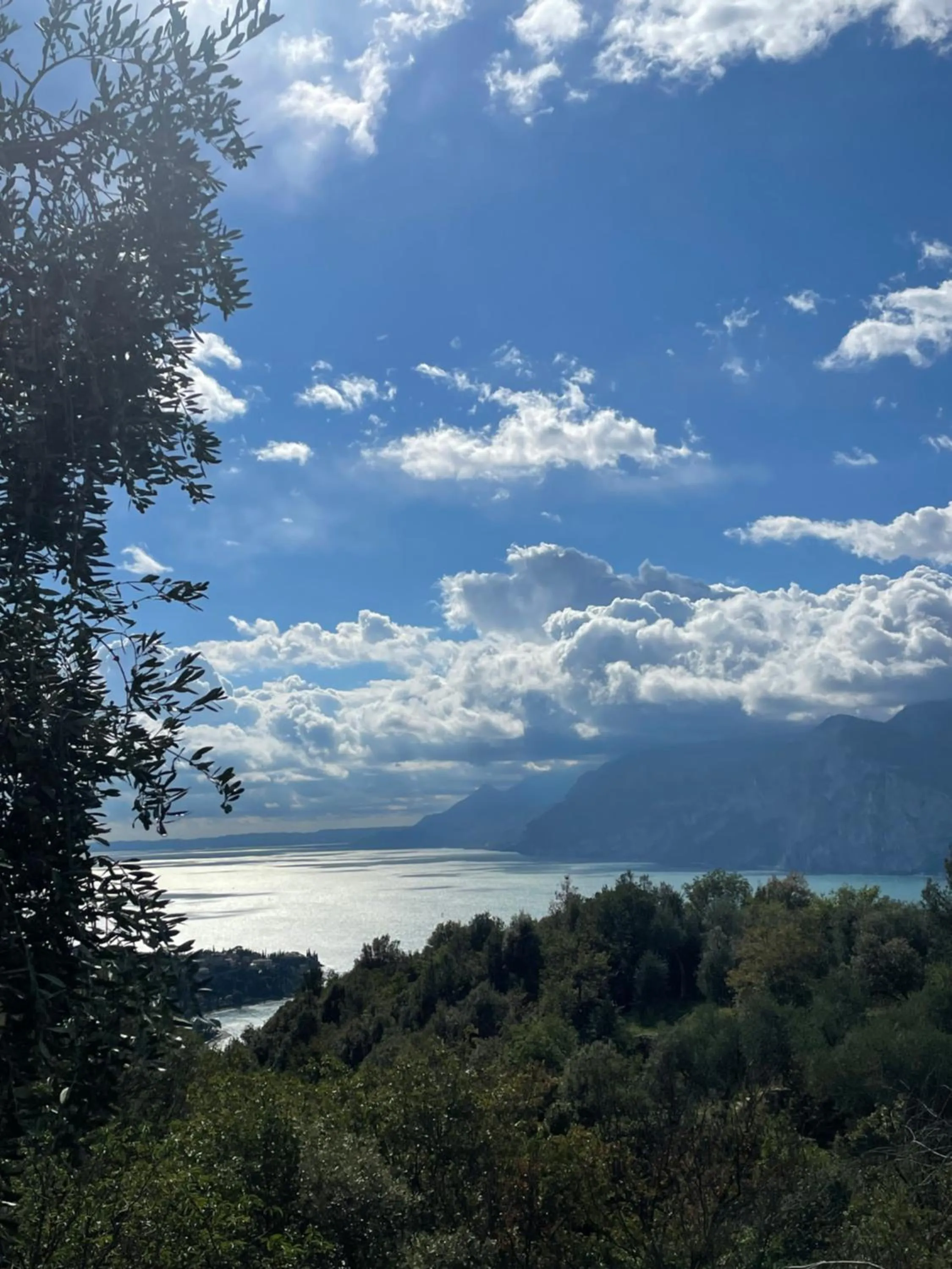 Guesthouse Grand View