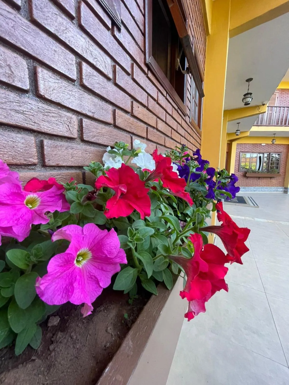 Day in Hotel Garnier