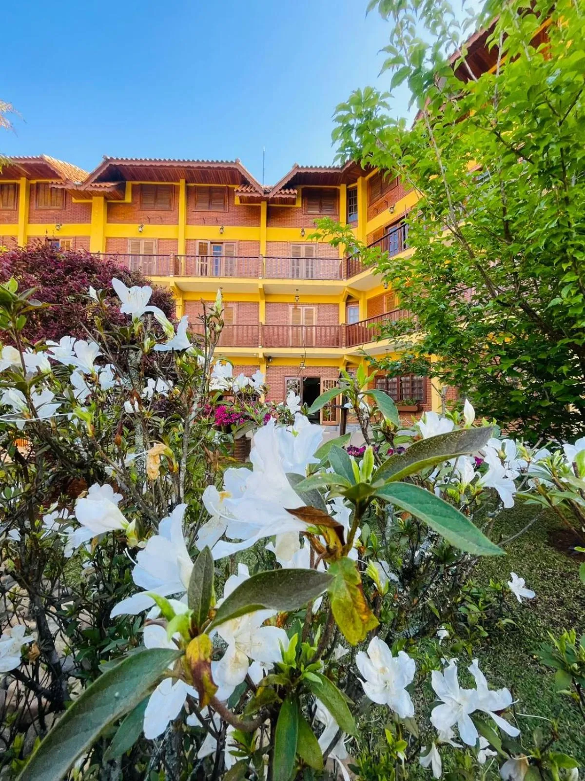 Garden in Hotel Garnier