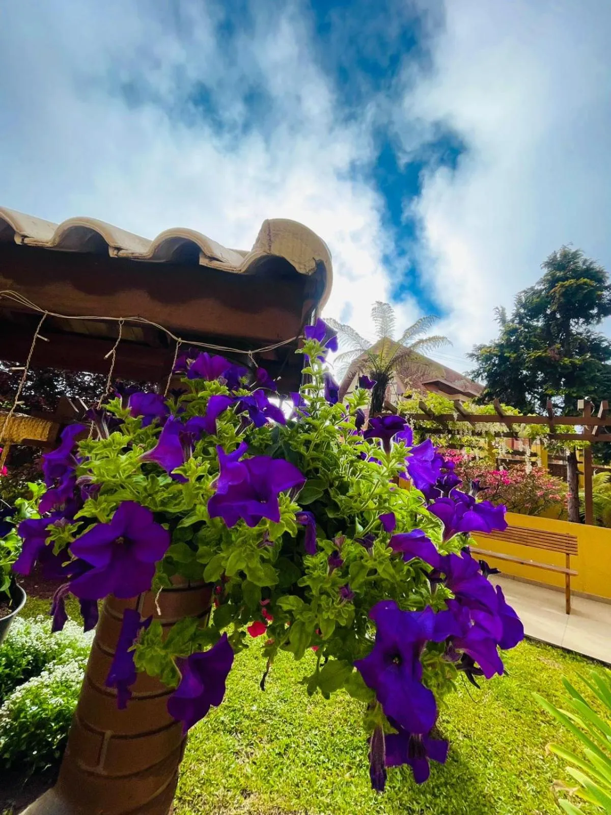 Garden in Hotel Garnier