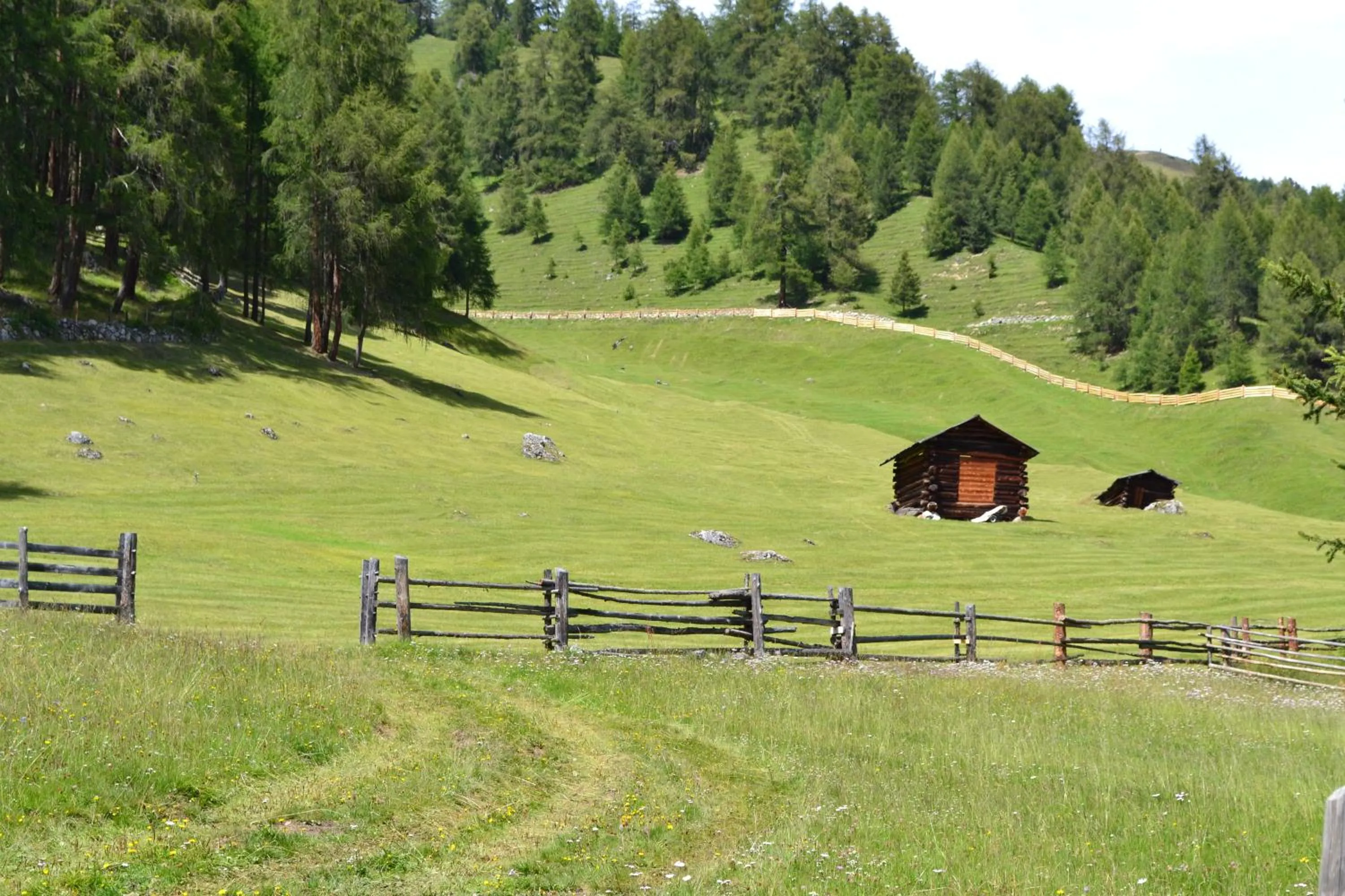 Summer in Residence Dilitz