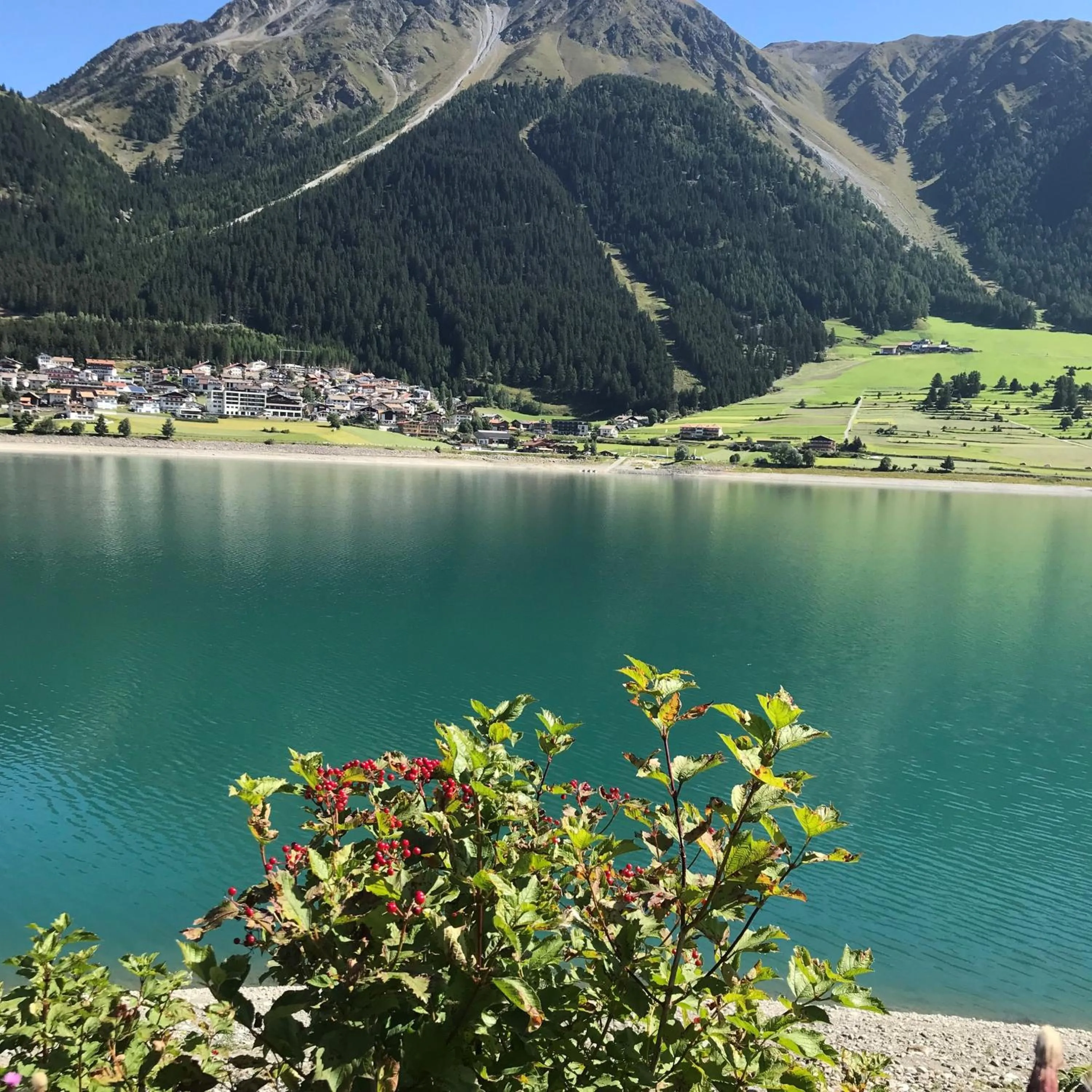 Natural landscape in Residence Dilitz