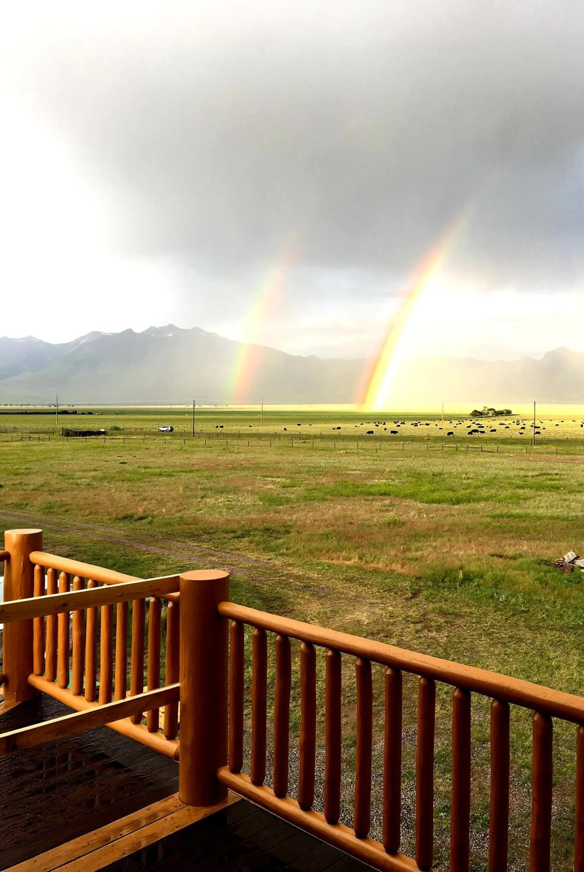 Property building in Dream Drift Motel