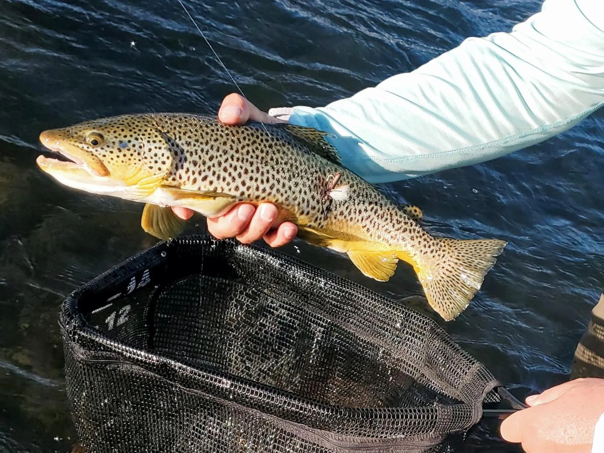 Fishing in Dream Drift Motel