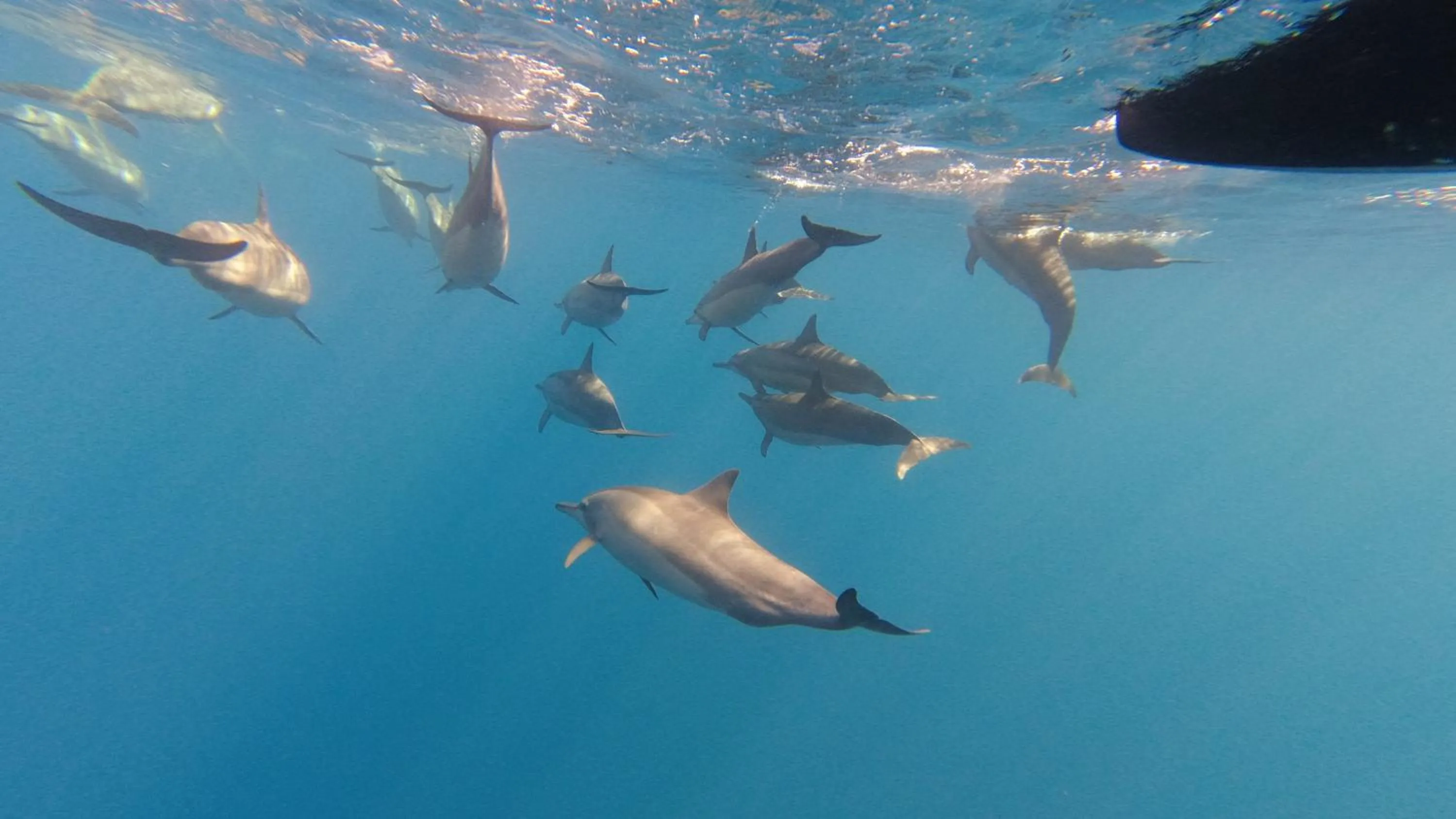 Activities in Kelana Guest House