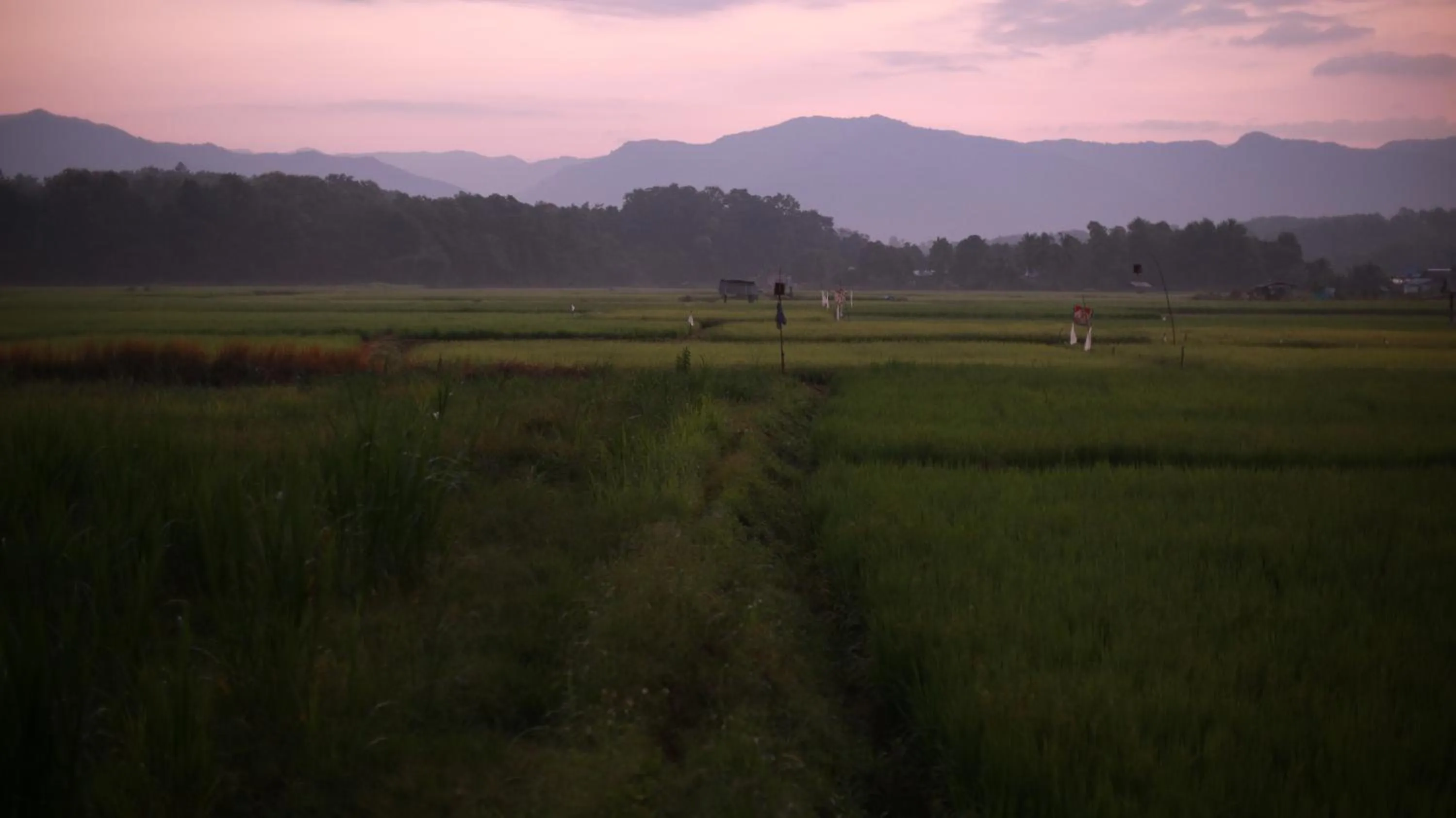 Natural landscape in THE RIVER RUNS CHIANG KLANG