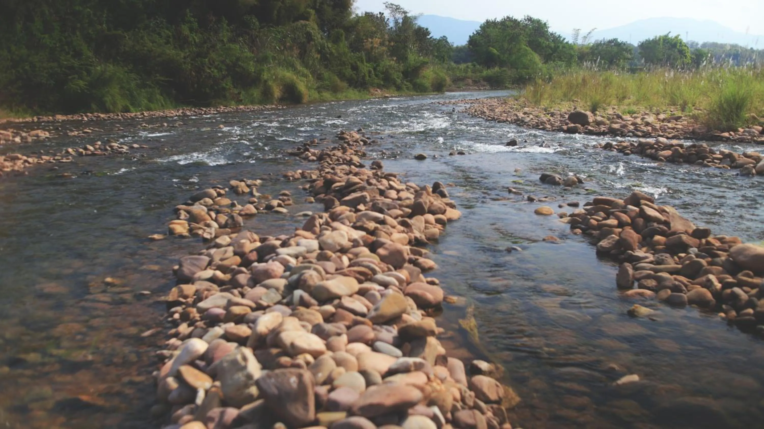 Natural landscape in THE RIVER RUNS CHIANG KLANG