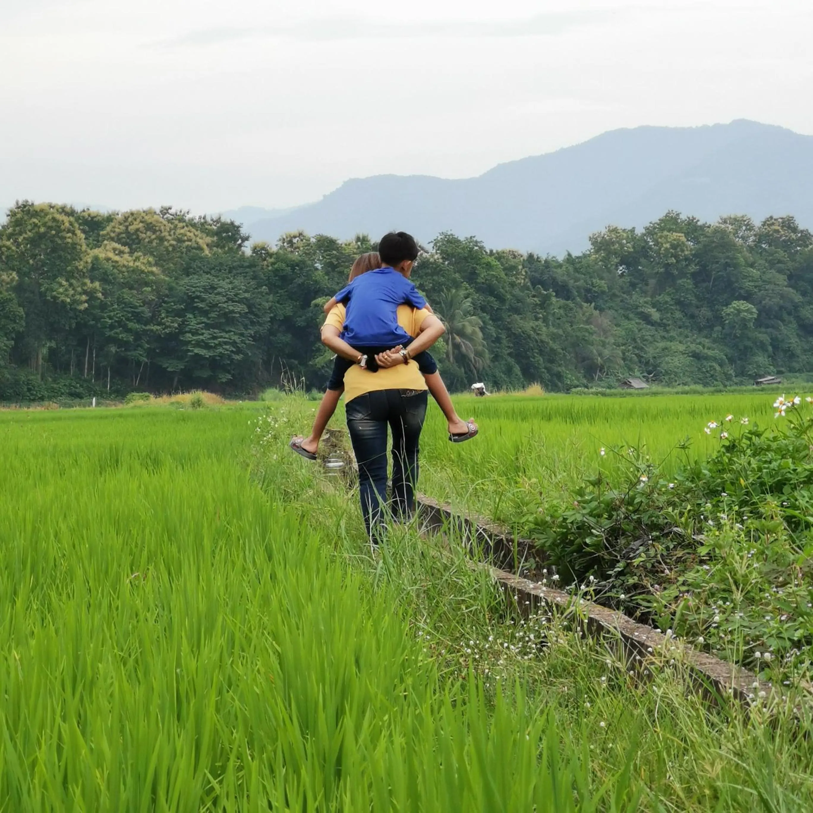 Day in THE RIVER RUNS CHIANG KLANG