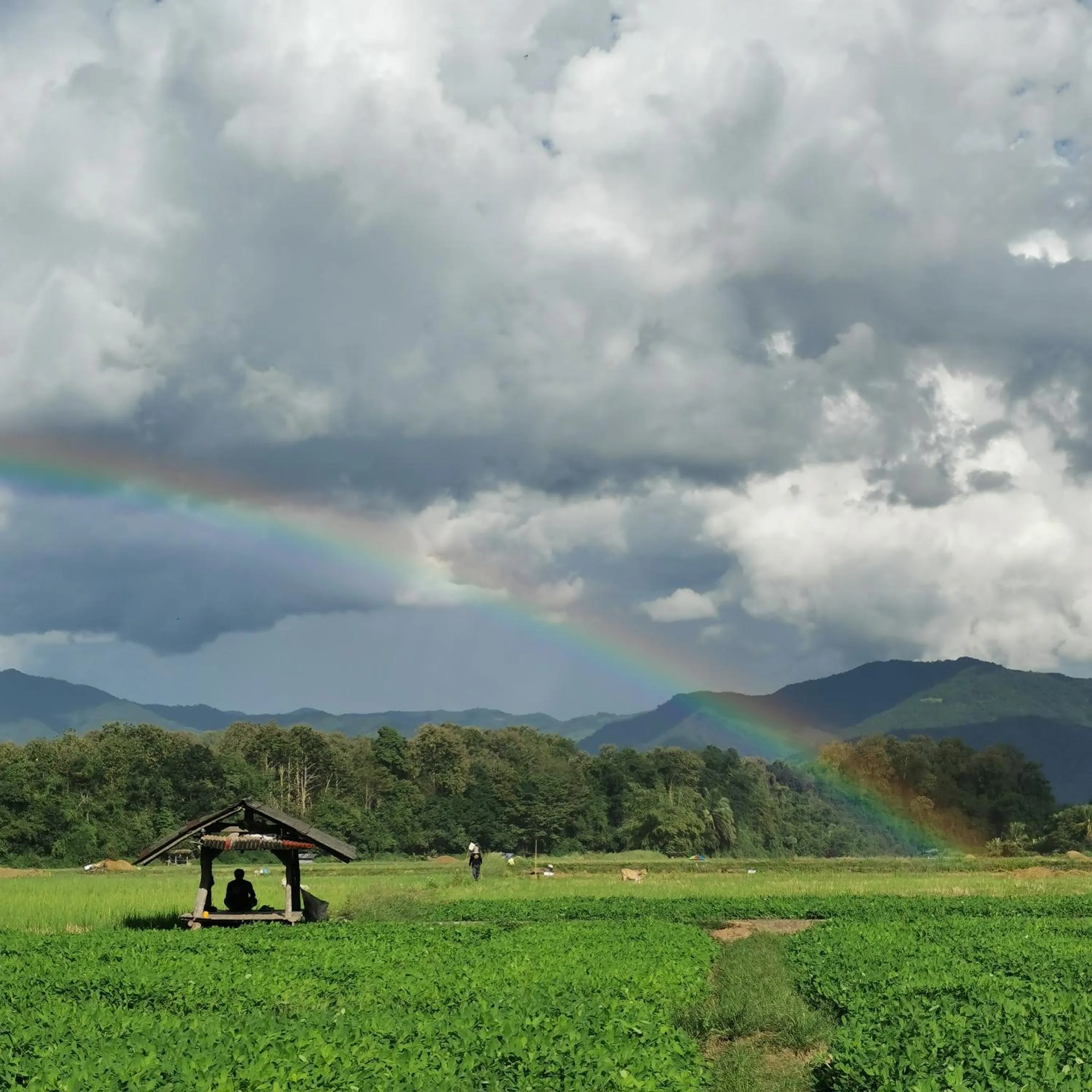 Mountain view in THE RIVER RUNS CHIANG KLANG
