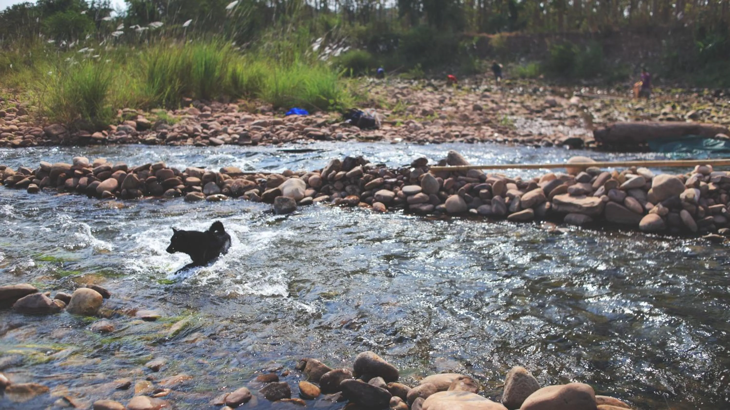 Natural landscape in THE RIVER RUNS CHIANG KLANG