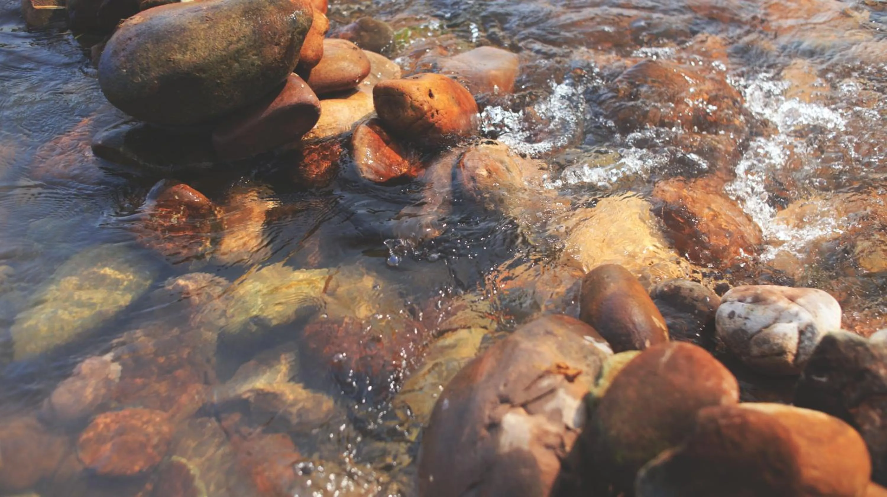 Natural landscape in THE RIVER RUNS CHIANG KLANG