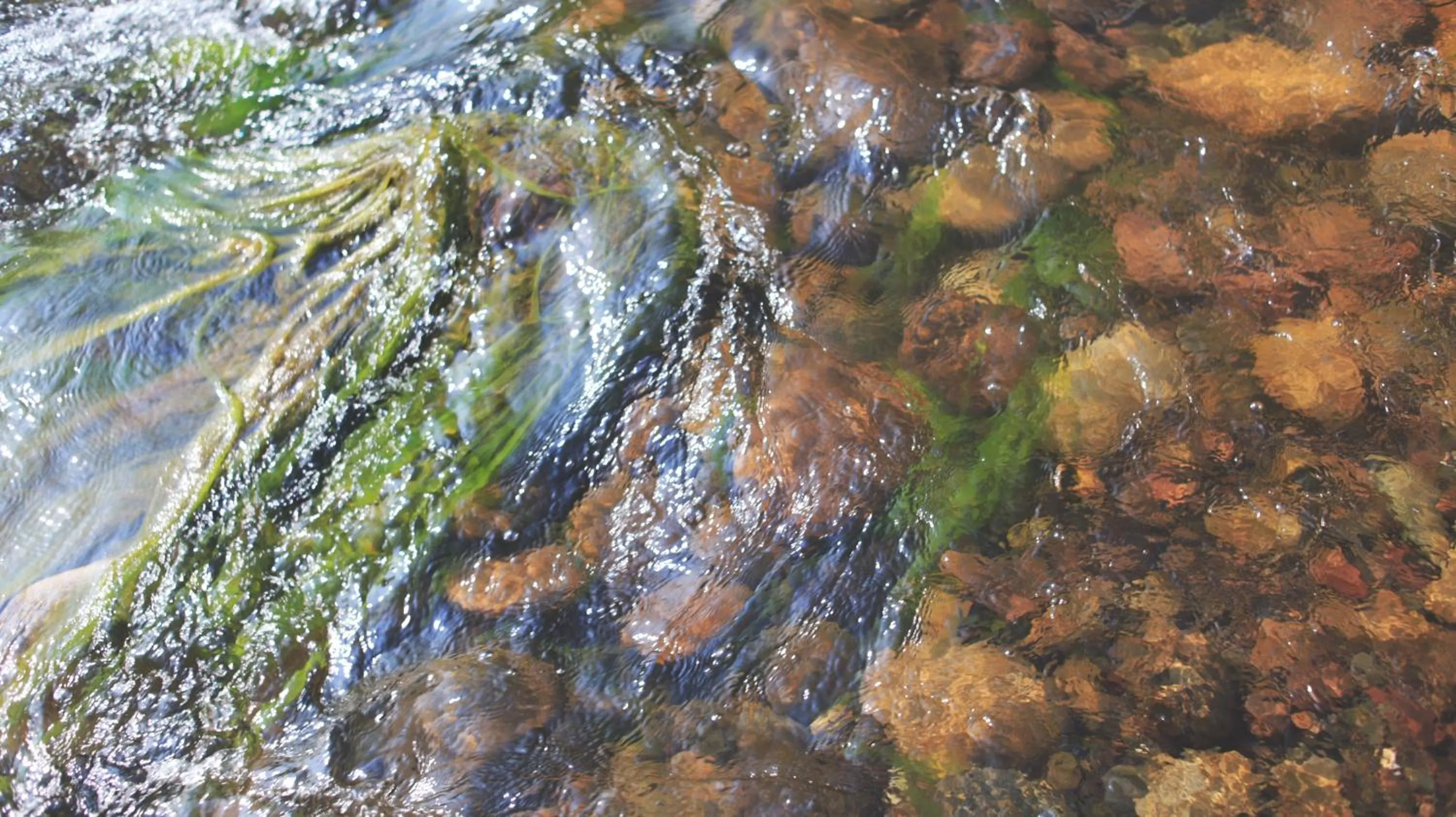Natural landscape in THE RIVER RUNS CHIANG KLANG
