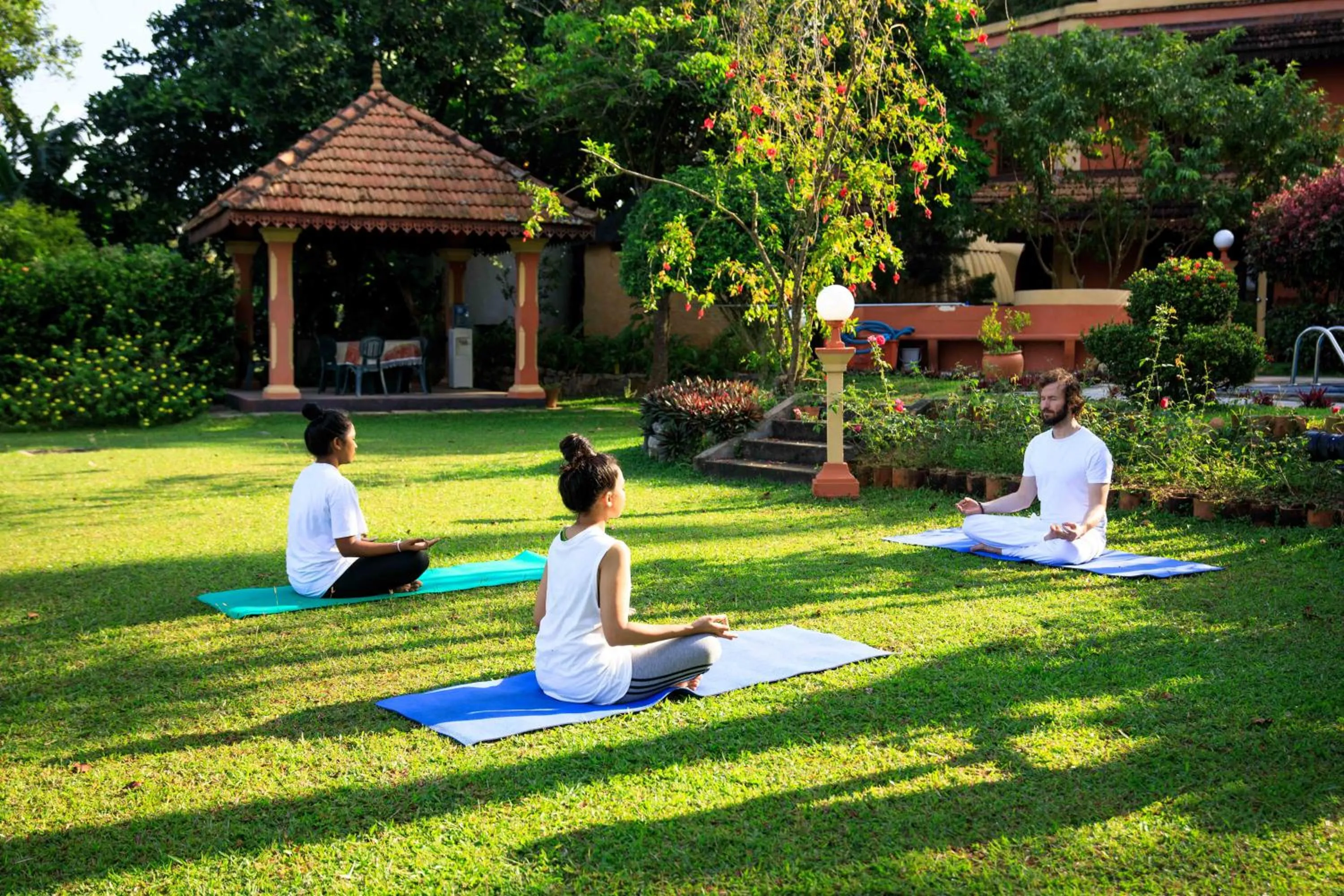 Fitness centre/facilities in Ayurveda Spring of Life