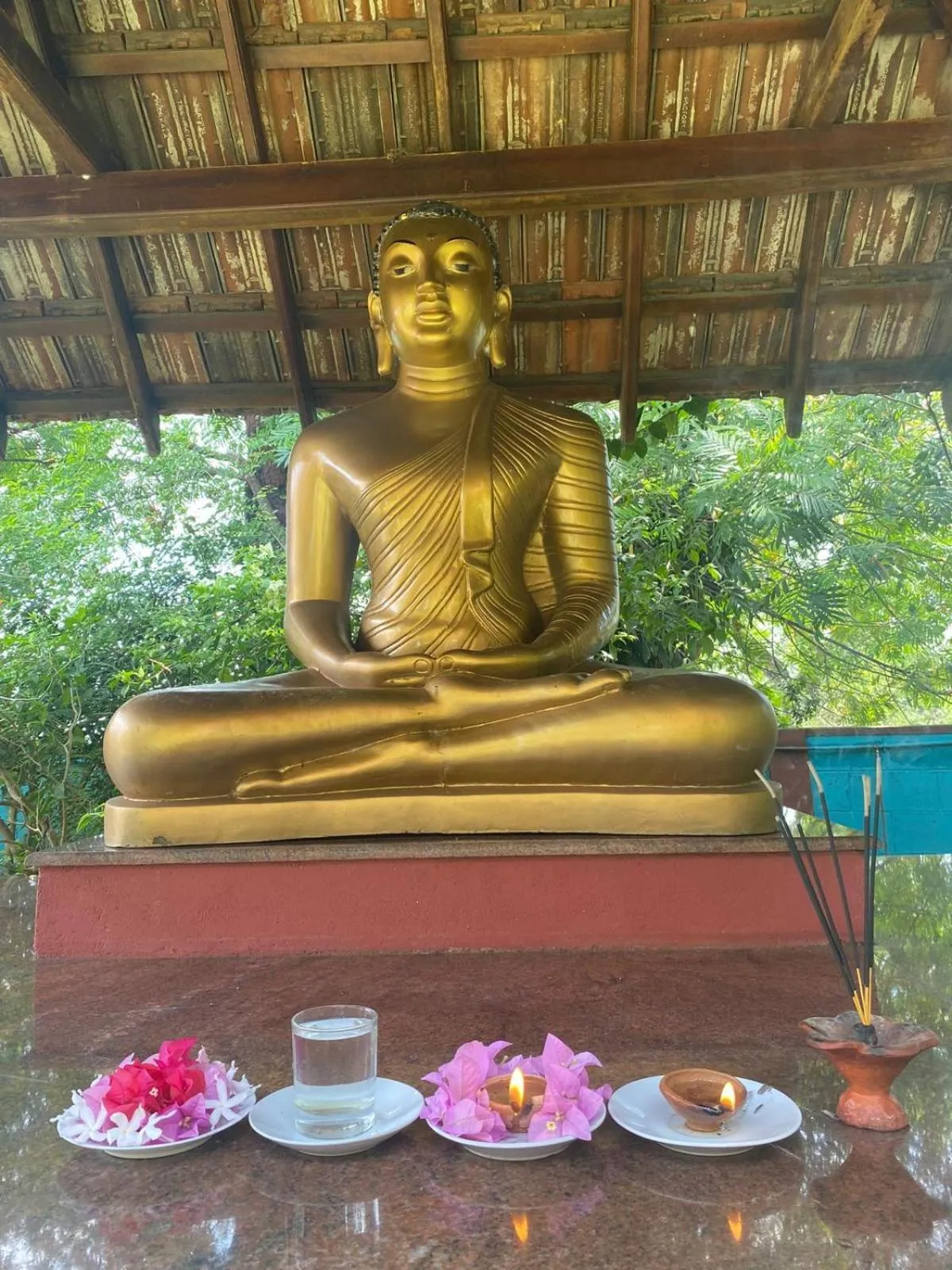 Ayurveda Spring of Life