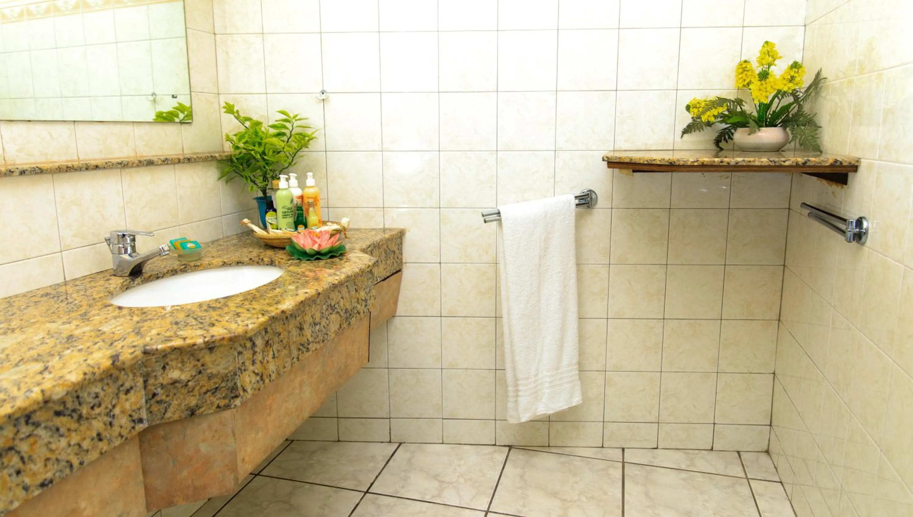 Ayurveda Spring of Life