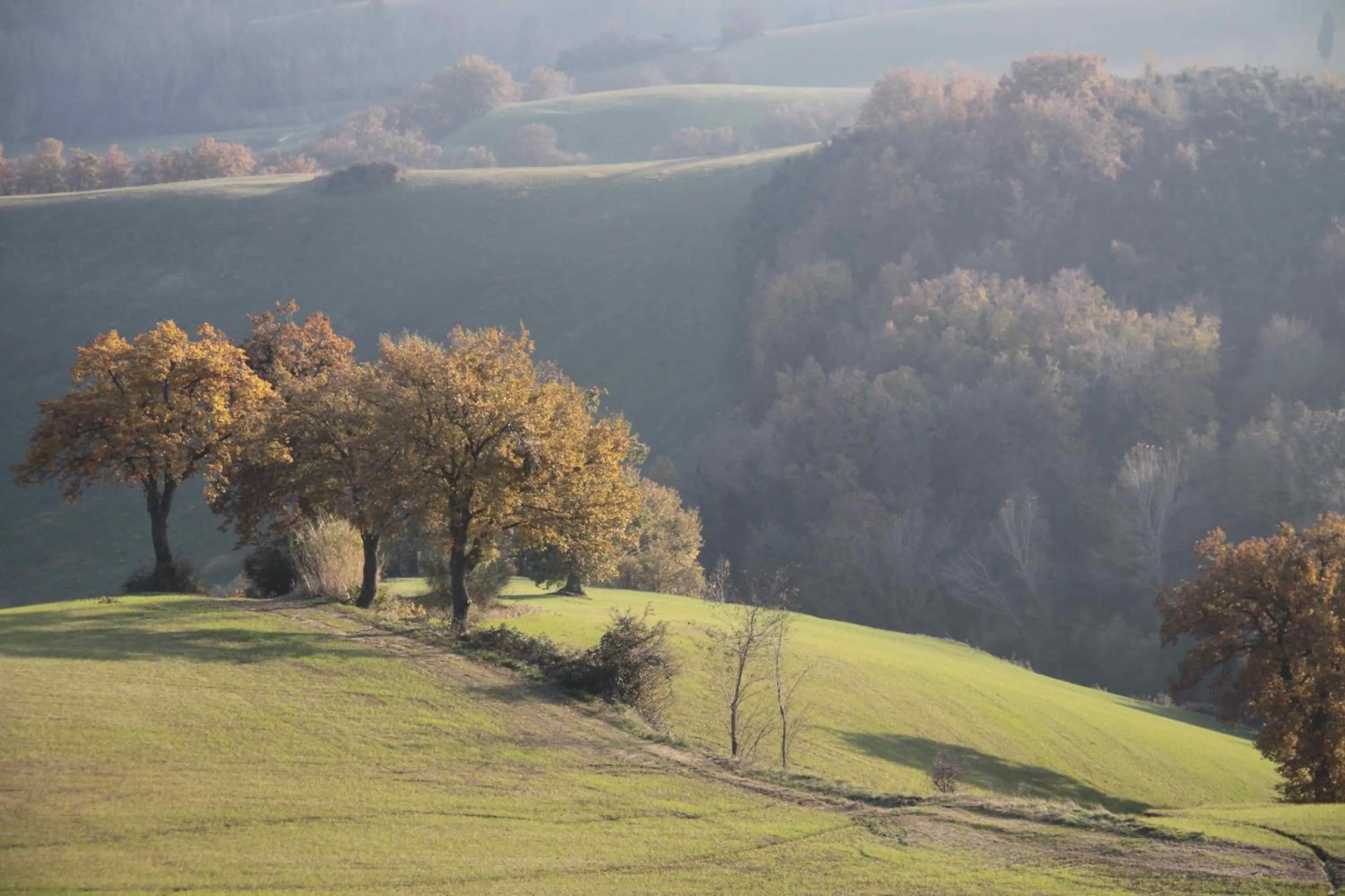Area and facilities in L'Isola Che Non C'era