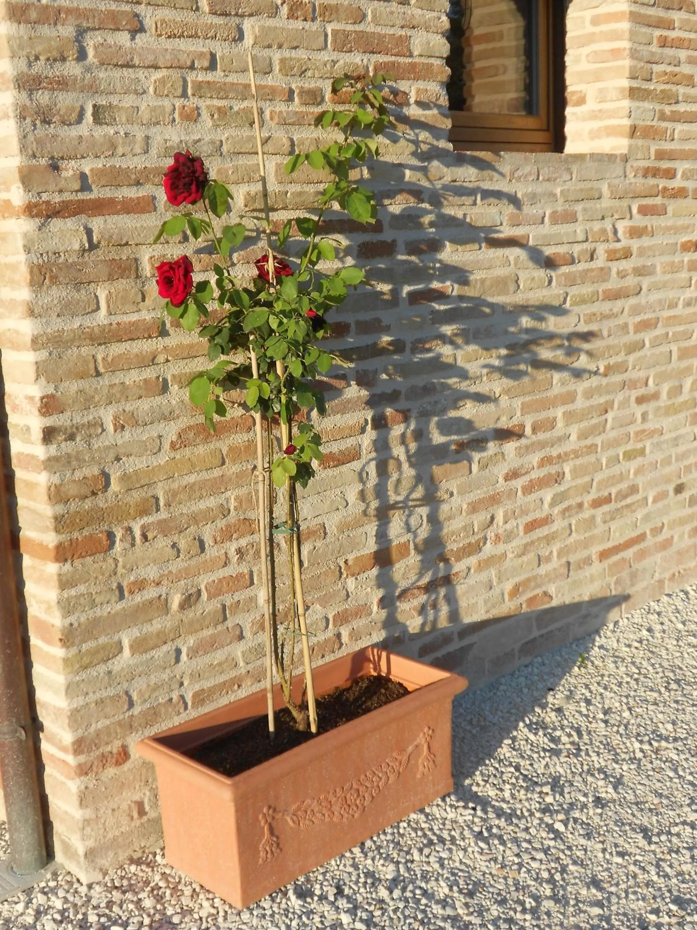 Decorative detail in L'Isola Che Non C'era