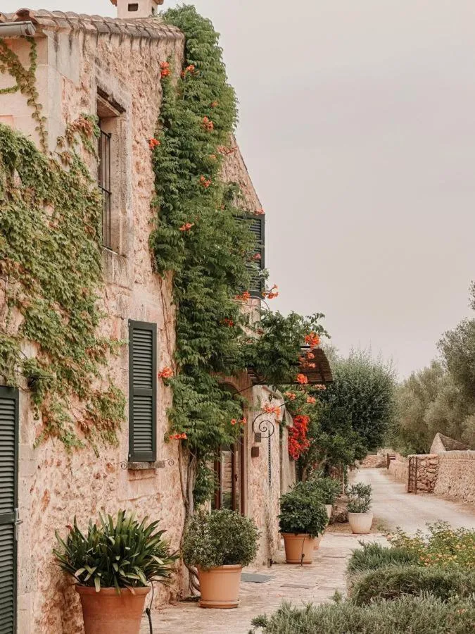 Property building in Bennoc Petit Hotel