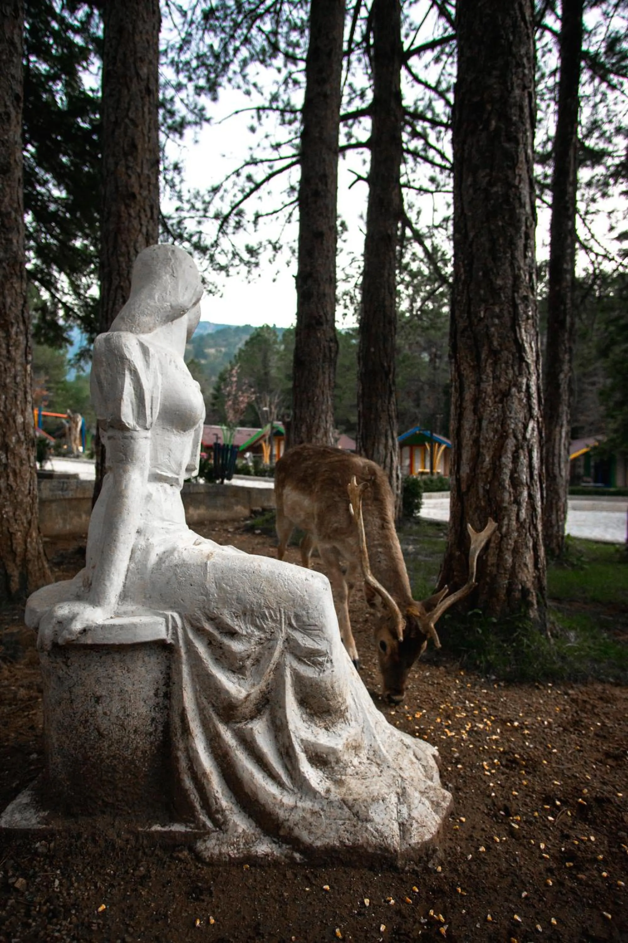 Garden in Te'Dreri - Llogora Tourist Village