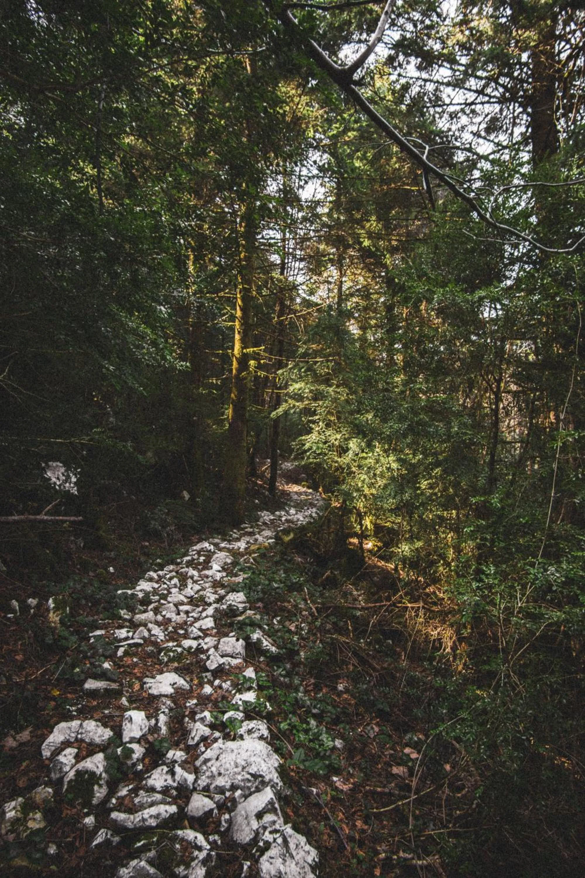 Hiking in Te'Dreri - Llogora Tourist Village