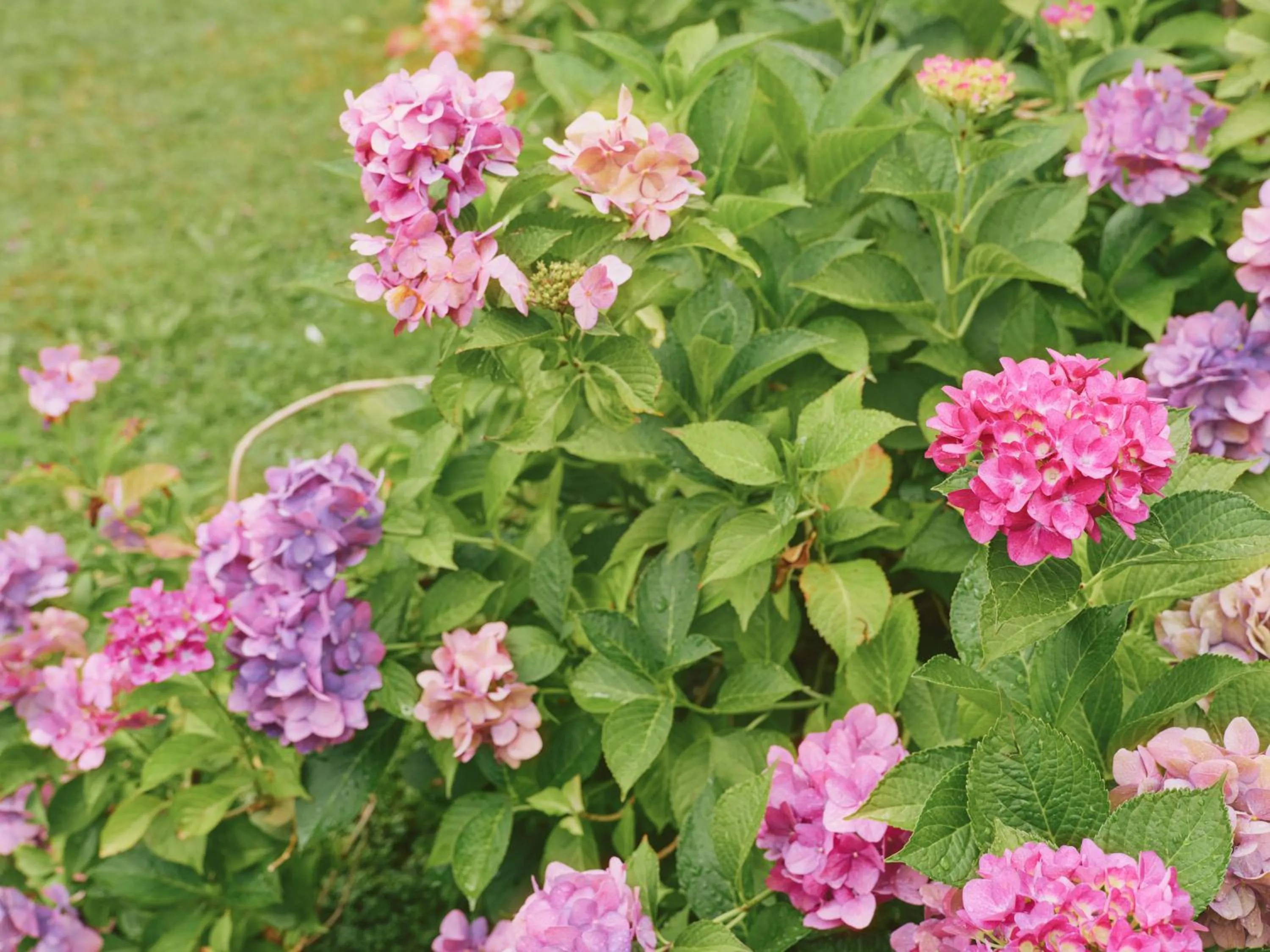 Garden in Hotel Magdalena Mayrhofen