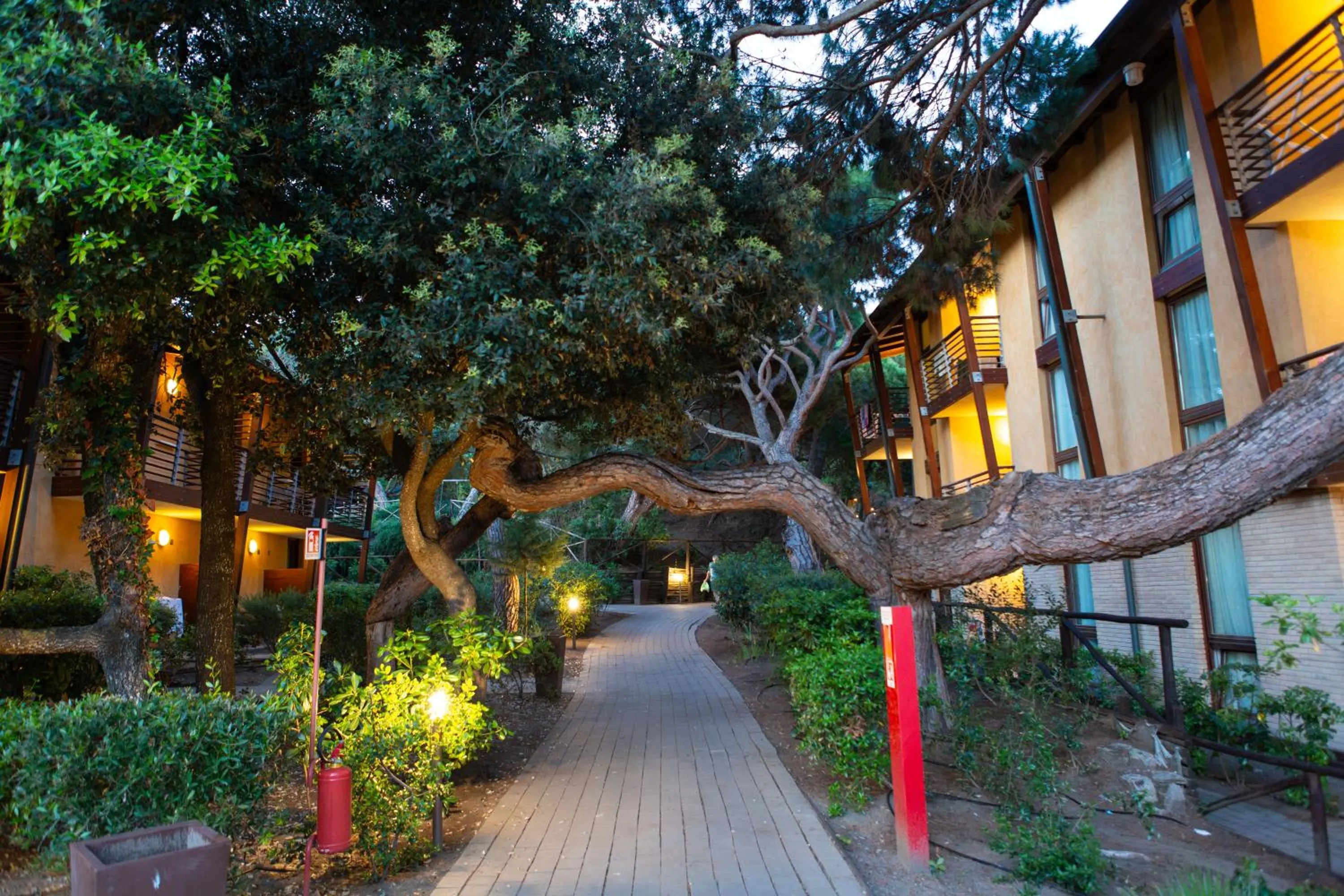 View (from property/room) in Canado Family Hotel