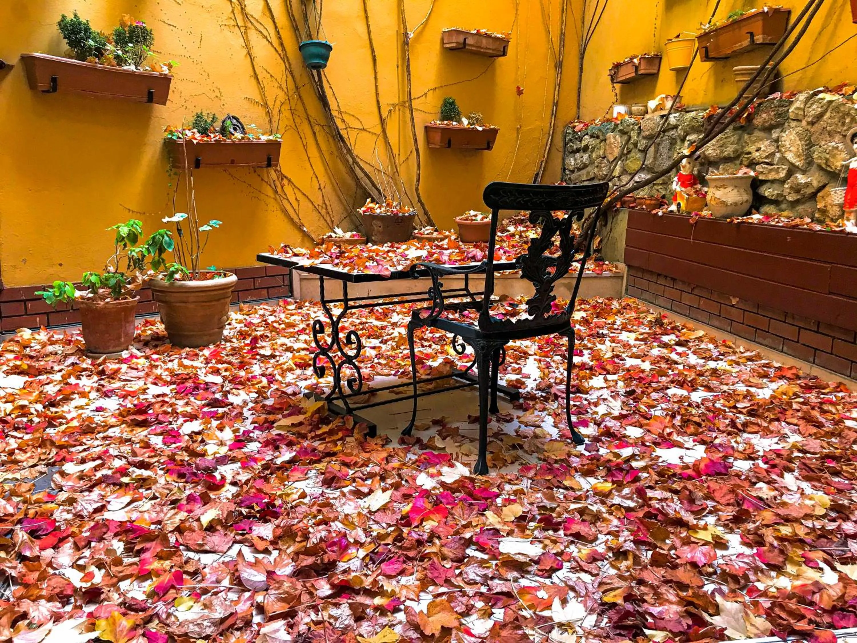 Garden in Hotel Erguvan - Special Category