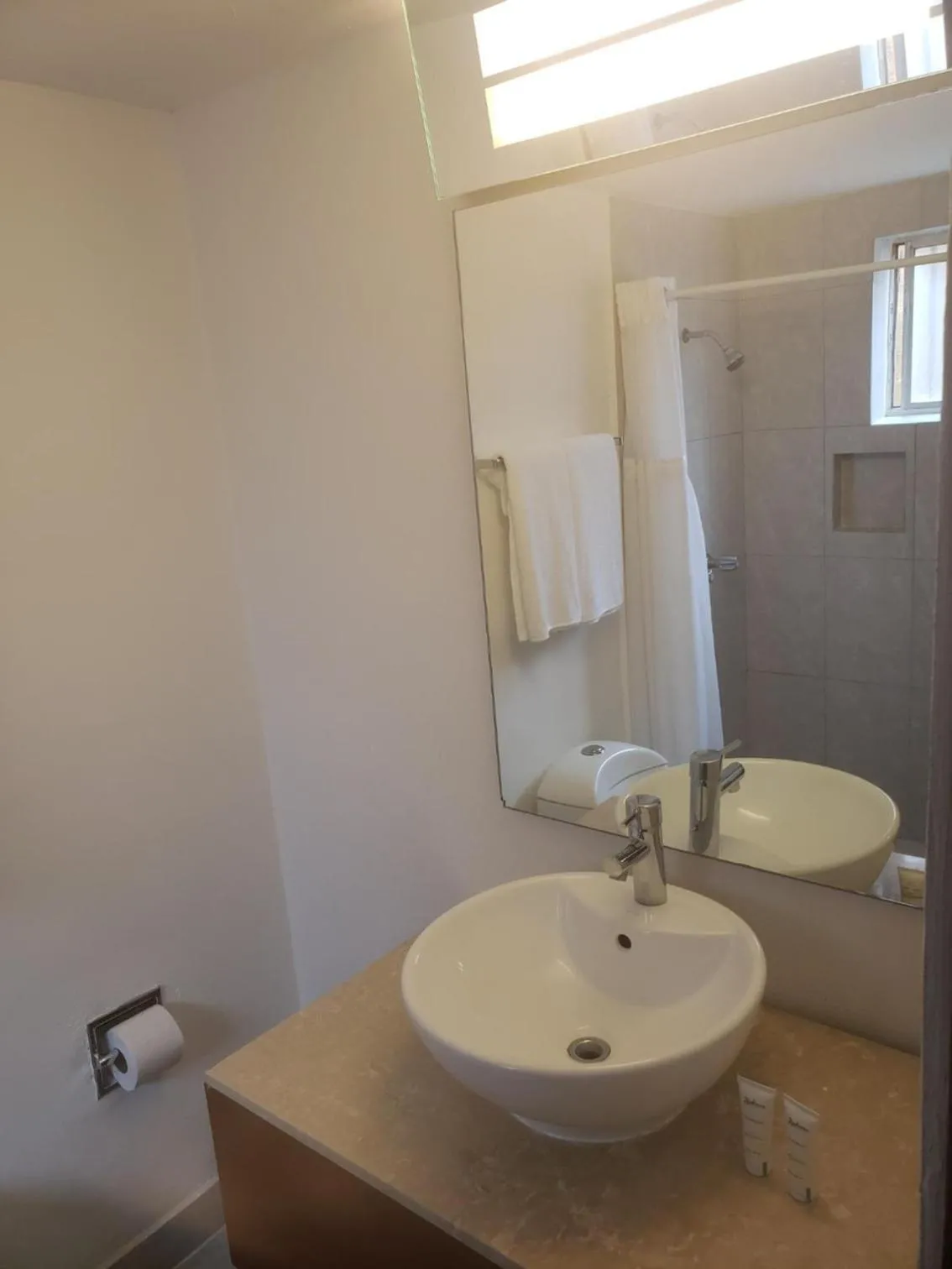 Toilet in Hotel Presidente