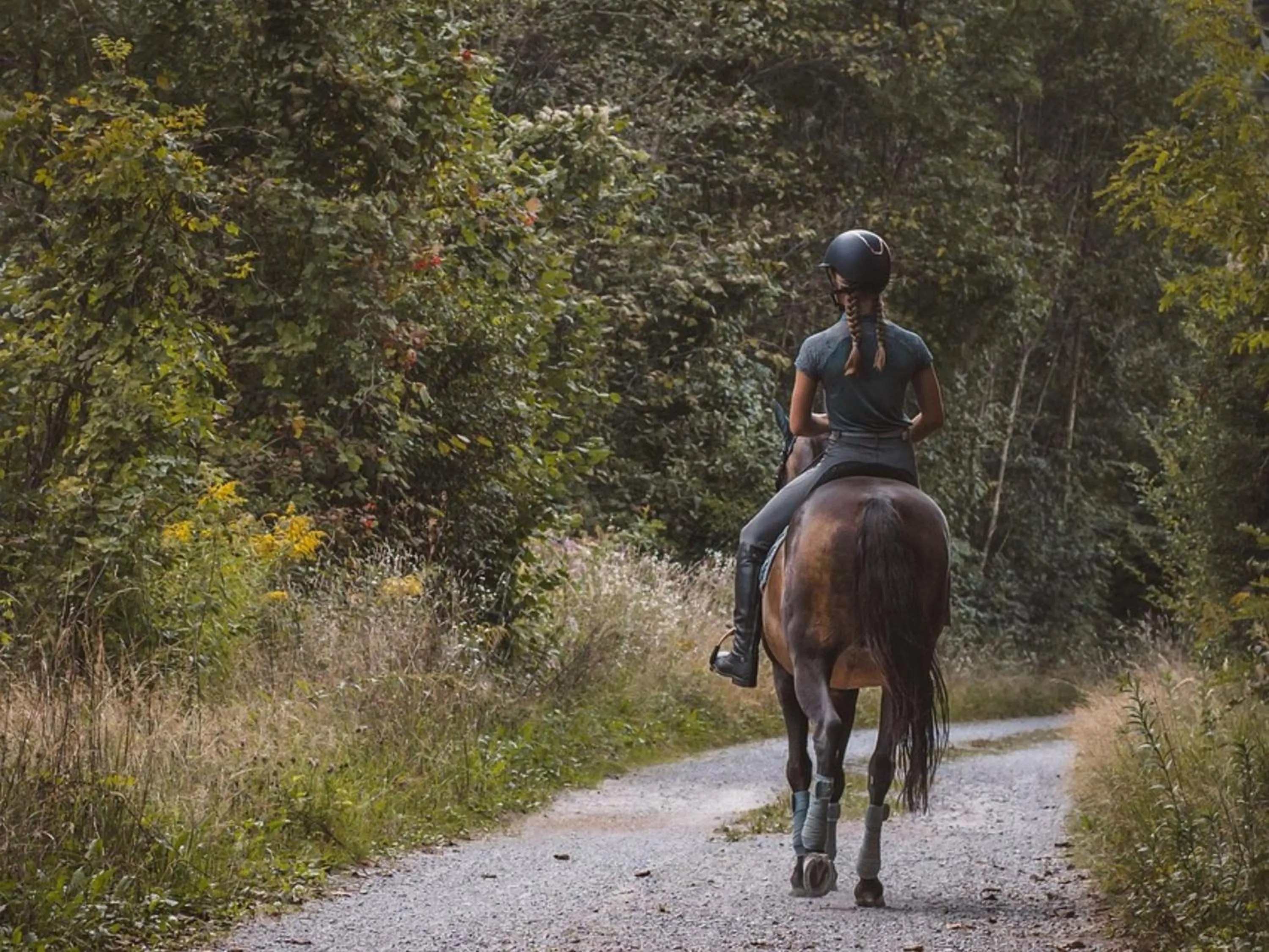 Activities in Knock Out View Clarens