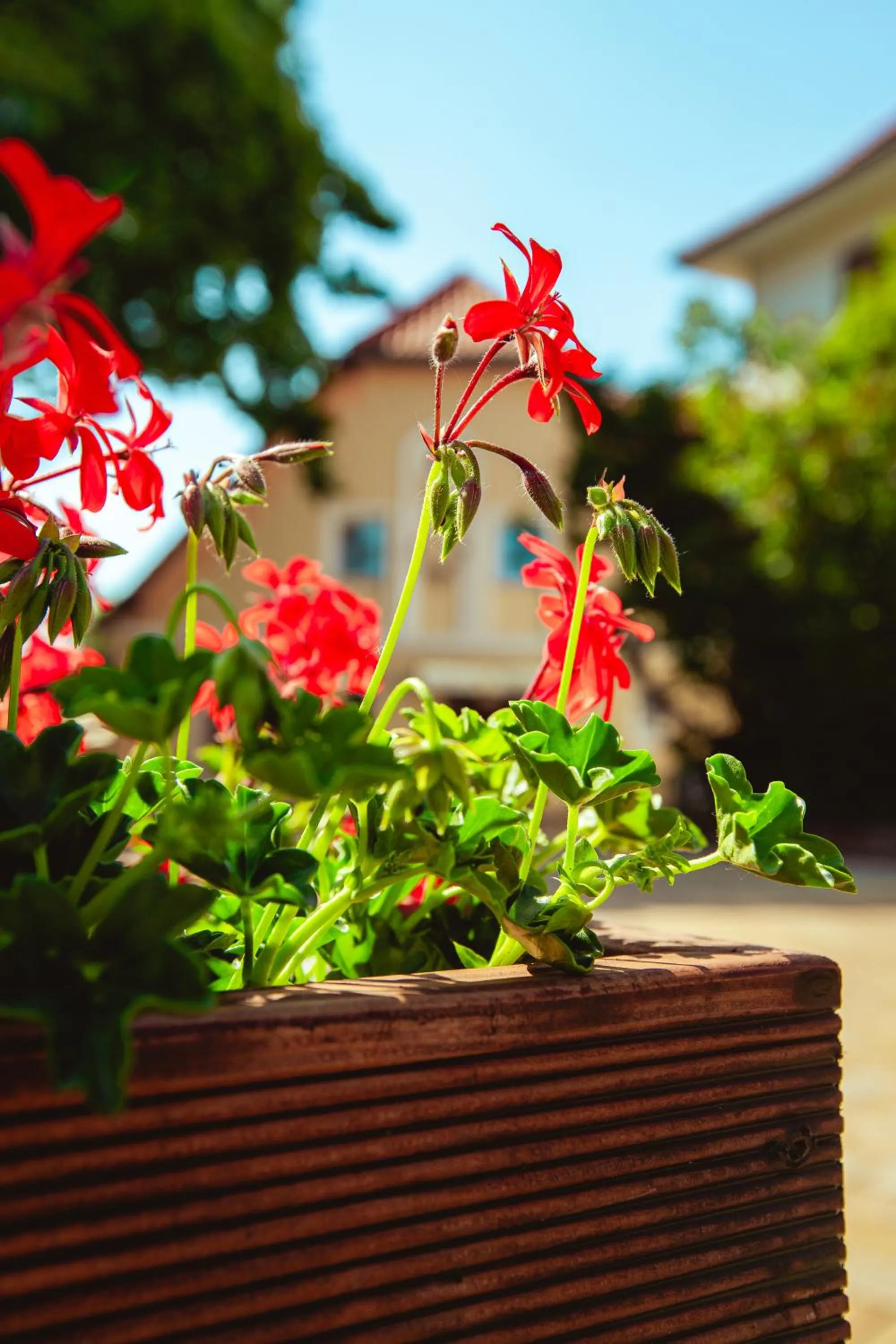 Hotel & Restaurant Hubertus Sehnde